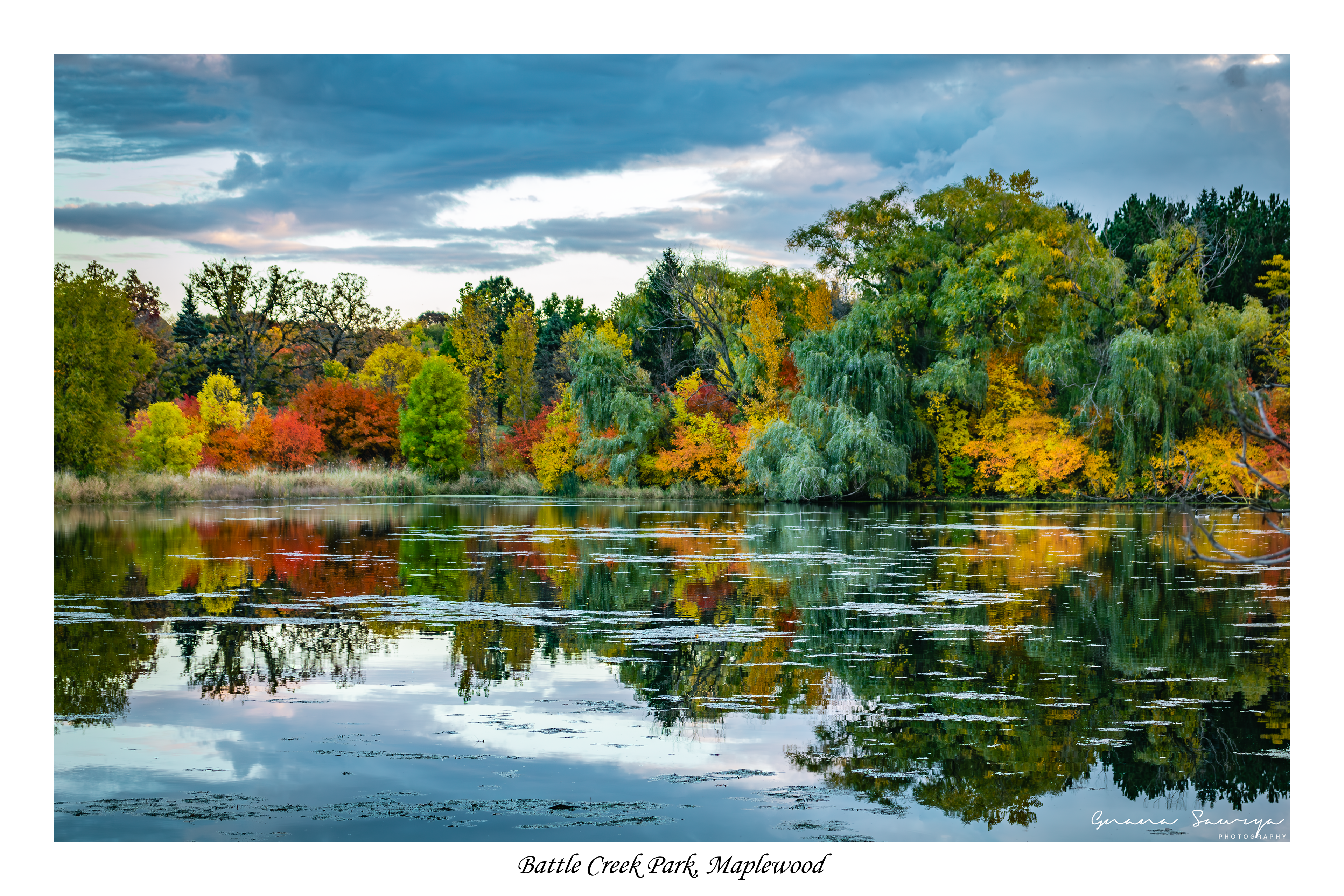 Fall Colors in Battle Creek Regional Park in Maplewood MN