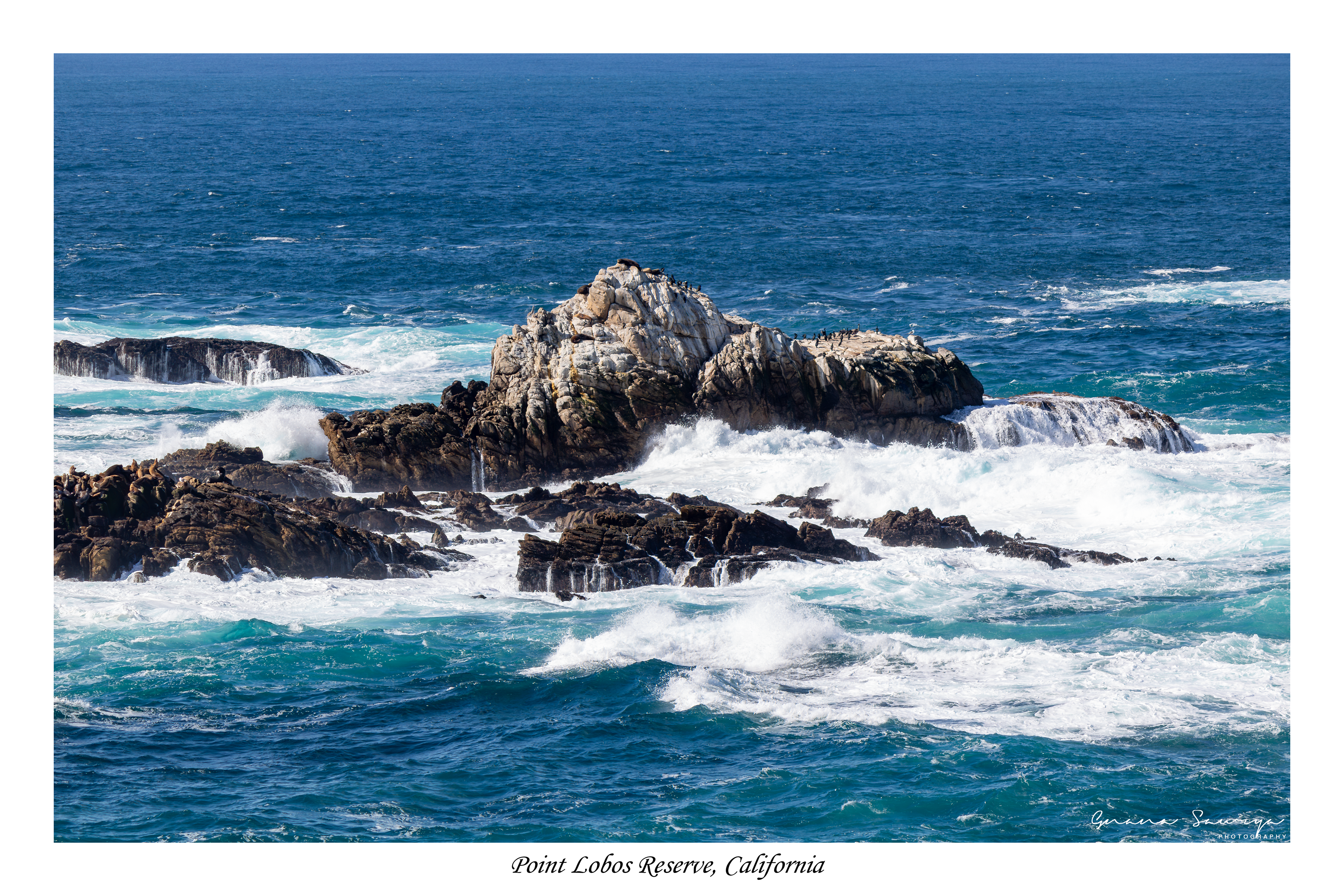 Point Lobos State Natural Reserve, California