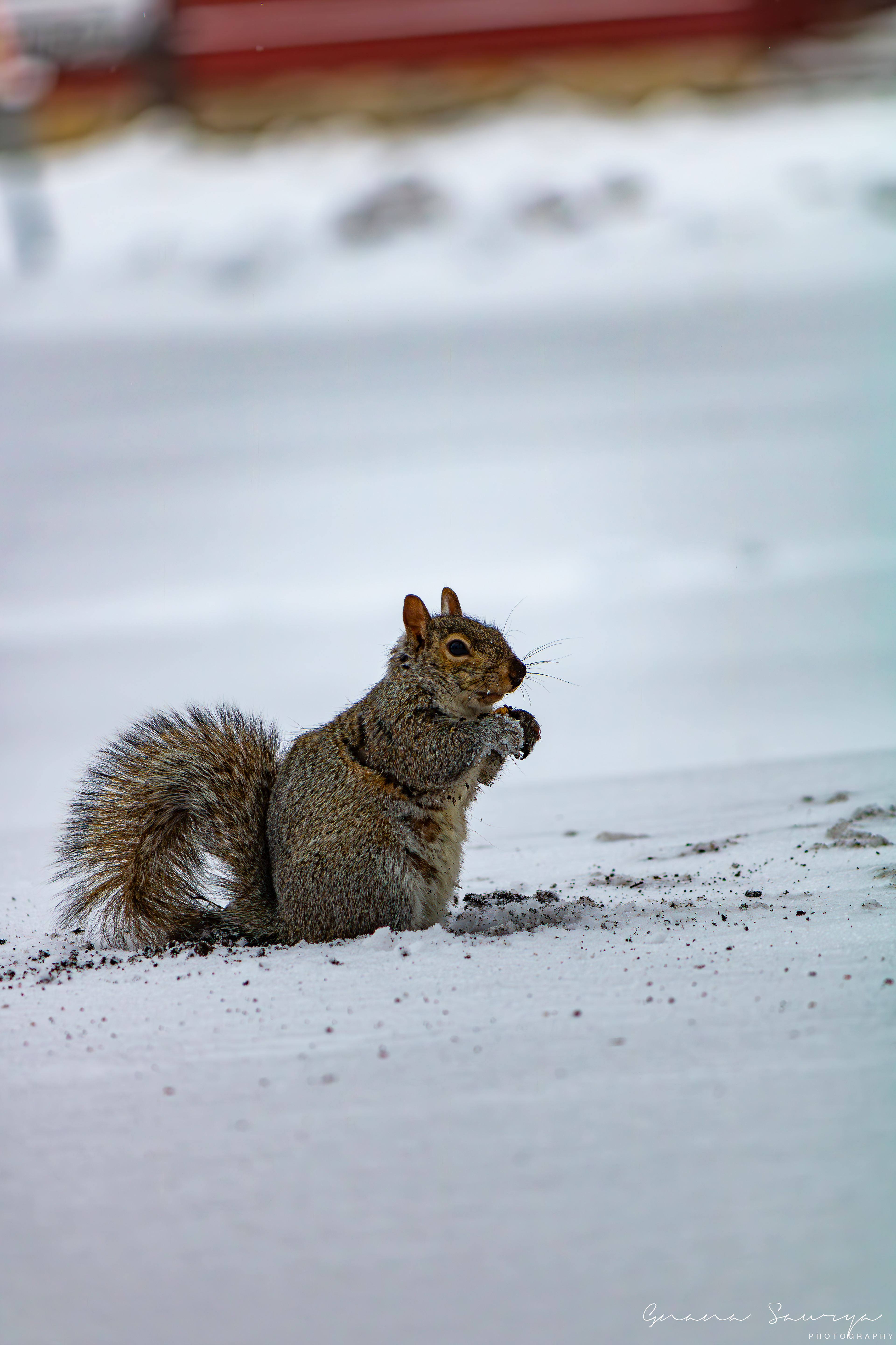 Minnehaha Falls, Minneapolis