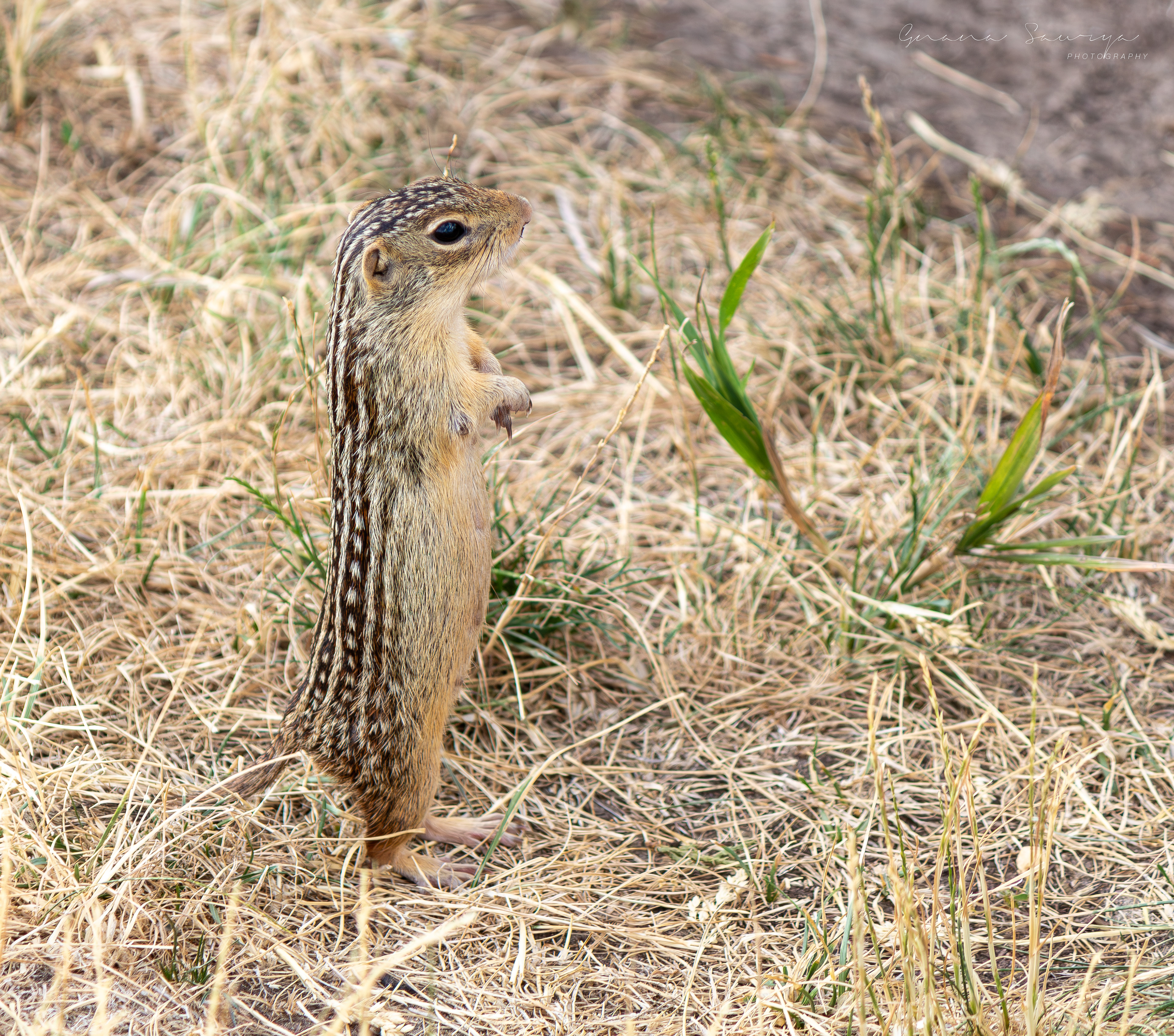 MSP Aircraft Viewing Area, Minneapolis