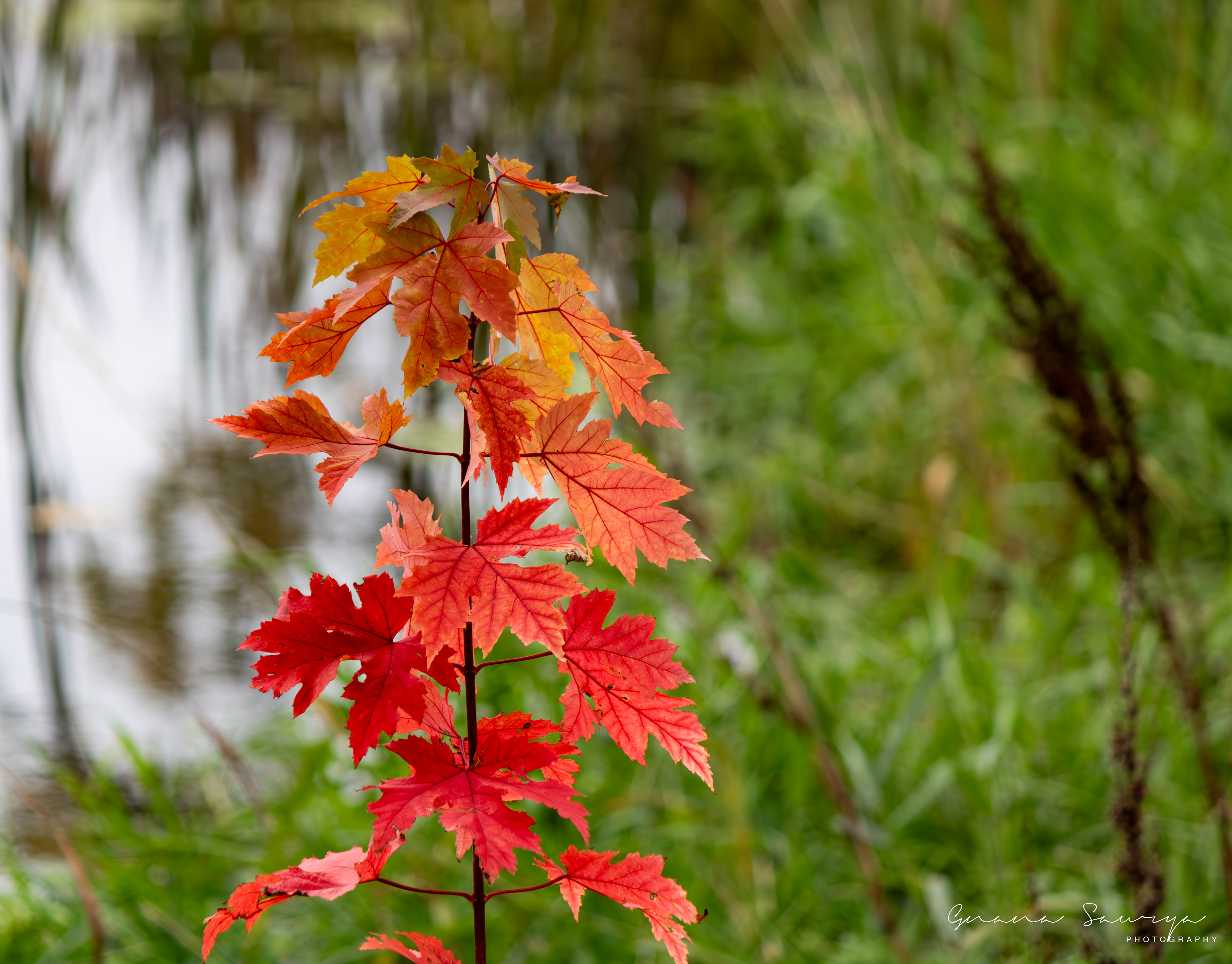 Lebanon Hills Regional Park, Eagan, Minnesota