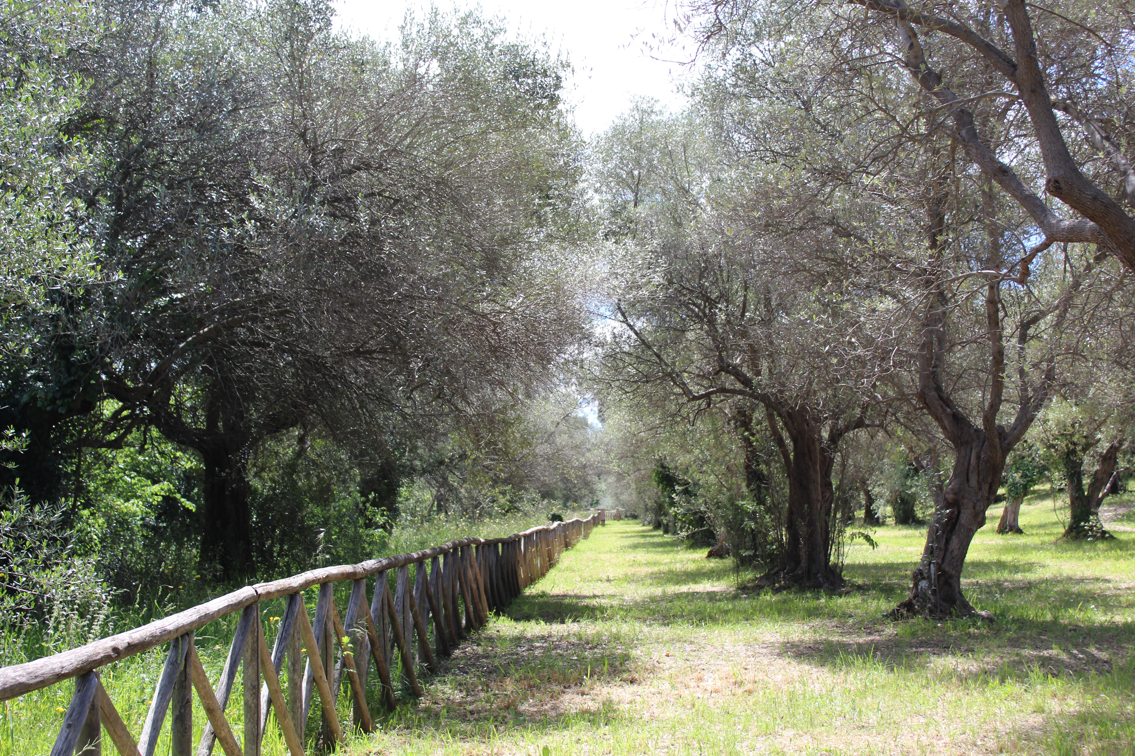 hadrian's villa