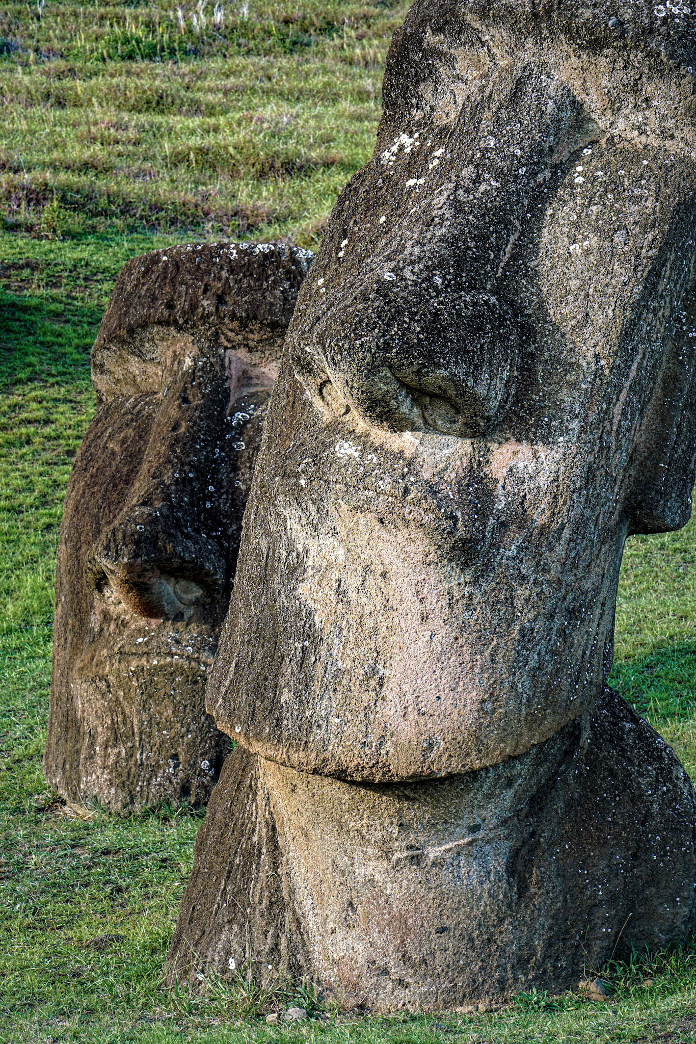 Chile, 30-March-2018, © Alvaro Pena Conde (Oravla)