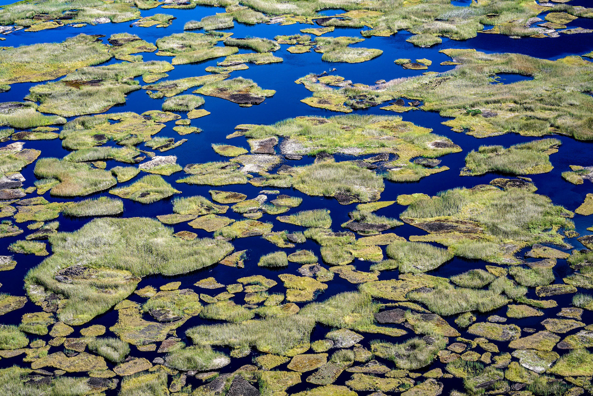 Chile, 31-March-2018, © Alvaro Pena Conde (Oravla)