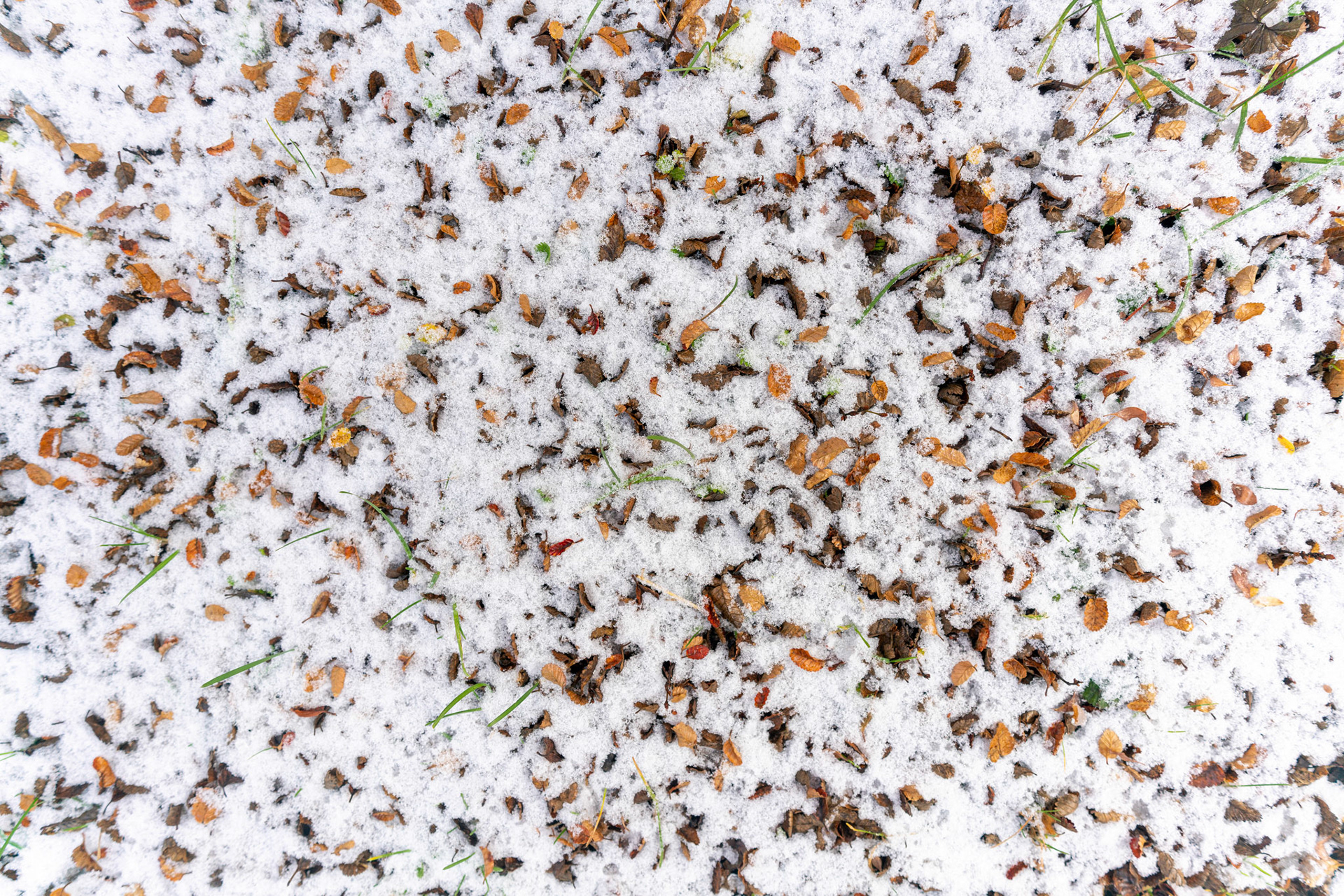 Photo taken in Ushuaia, on 12-May-2018, © Alvaro Pena Conde / oravla.com