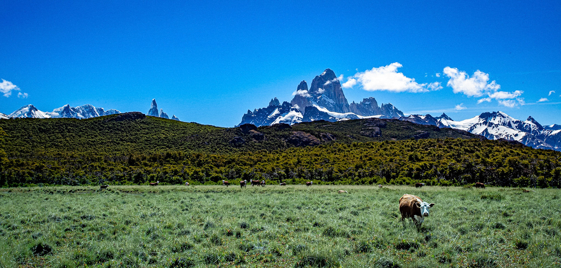 El Chalten, Argentina, 16-January-2015, © Alvaro Pena Conde / oravla.com