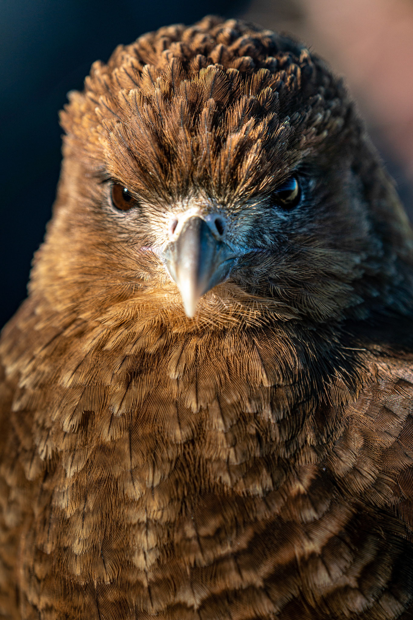 Photo taken in Ushuaia, on 13-May-2018, © Alvaro Pena Conde / oravla.com