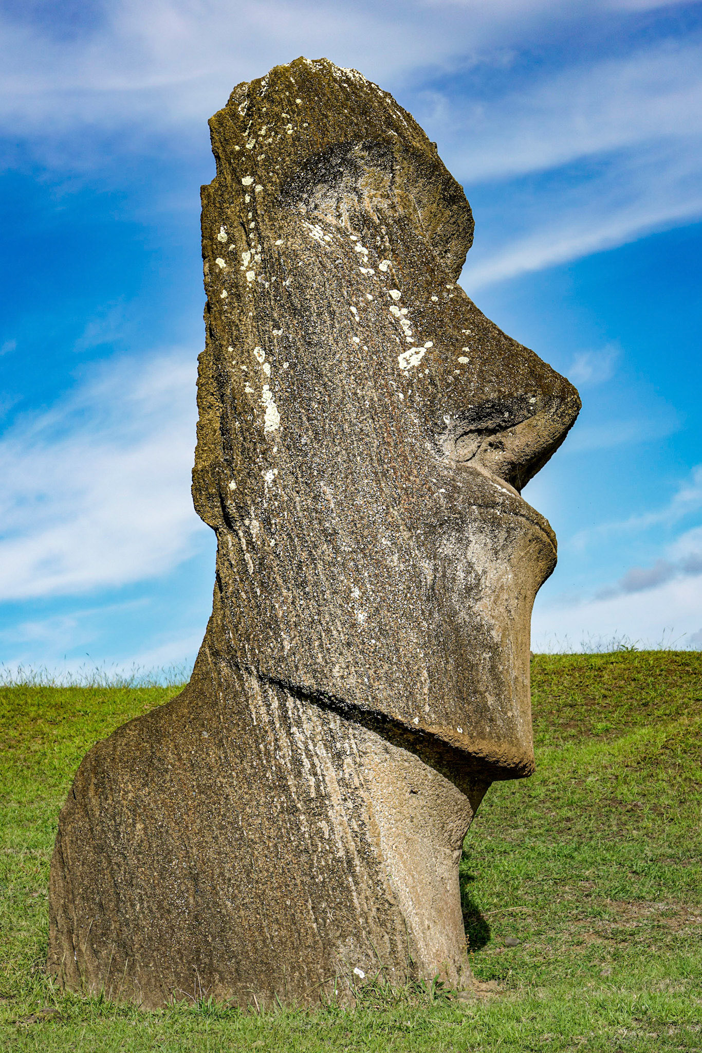 Chile, 30-March-2018, © Alvaro Pena Conde (Oravla)