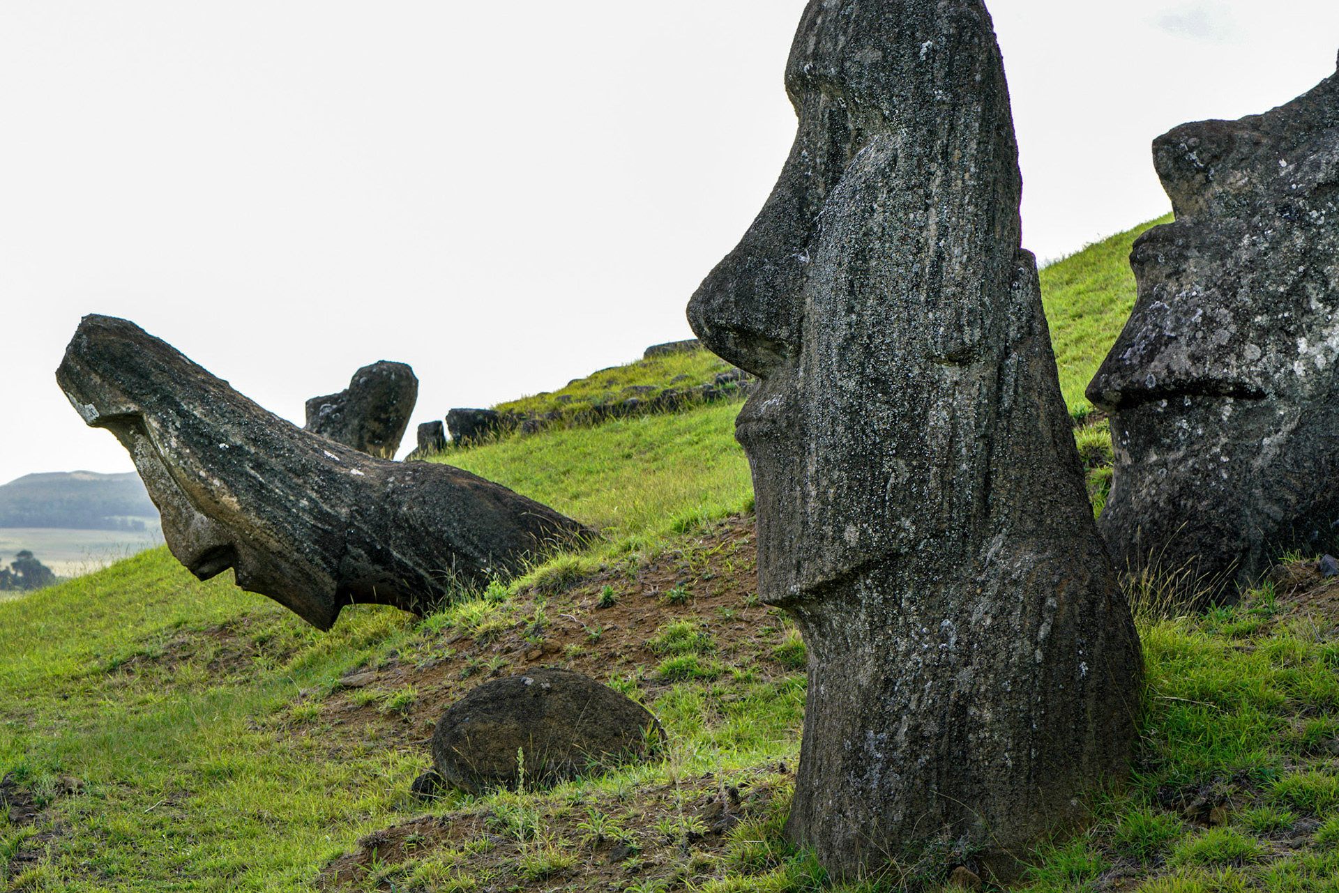 Chile, 30-March-2018, © Alvaro Pena Conde (Oravla)