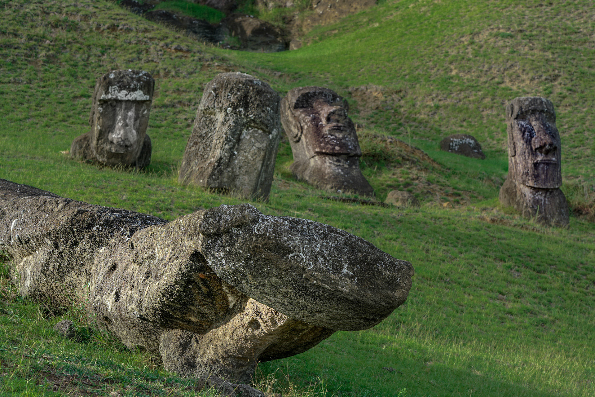Chile, 30-March-2018, © Alvaro Pena Conde (Oravla)