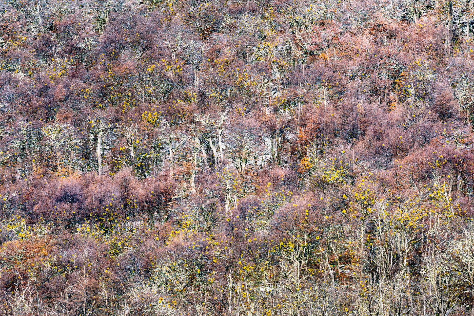 Photo taken in Ushuaia, on 12-May-2018, © Alvaro Pena Conde / oravla.com