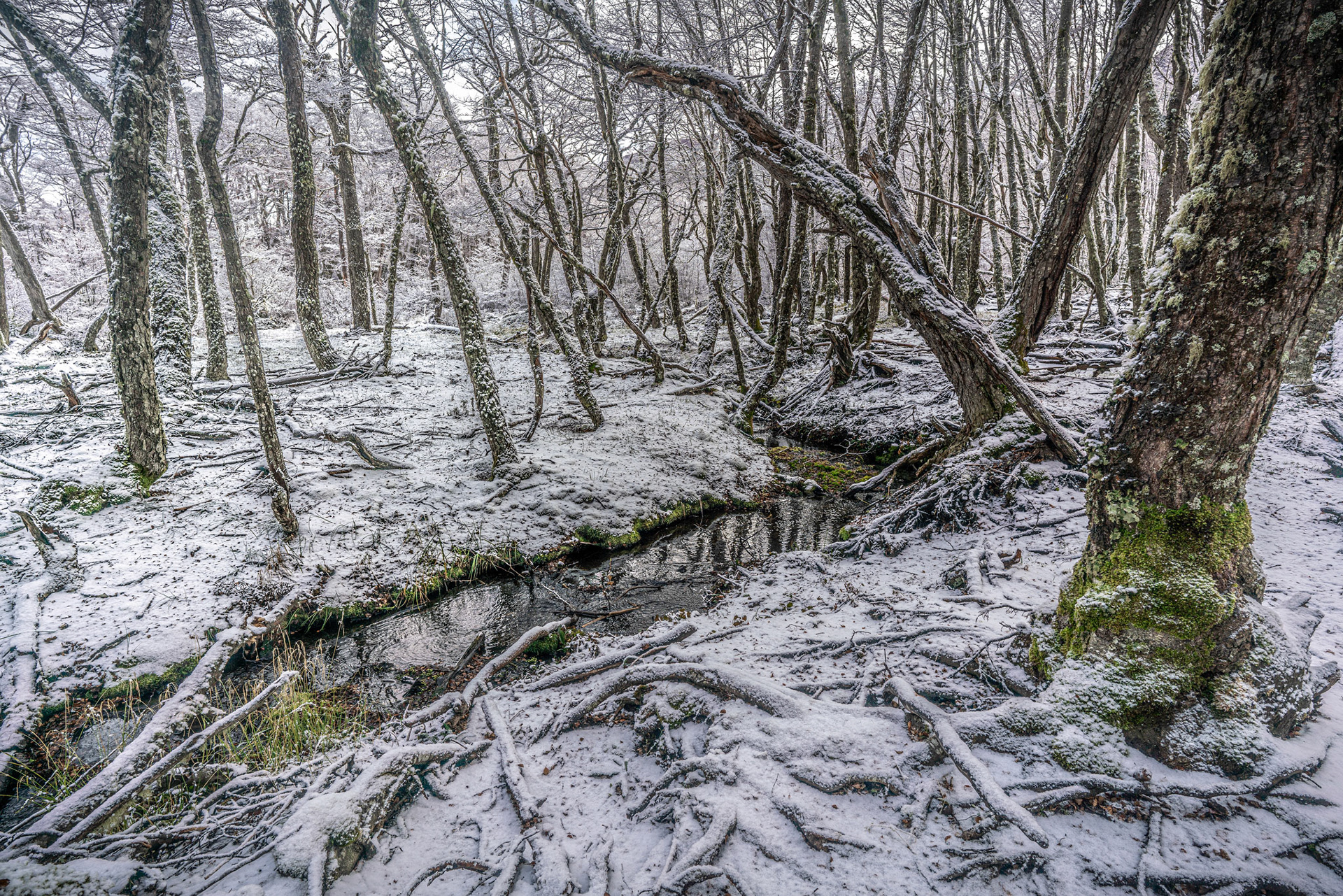 Photo taken in Ushuaia, on 12-May-2018, © Alvaro Pena Conde / oravla.com