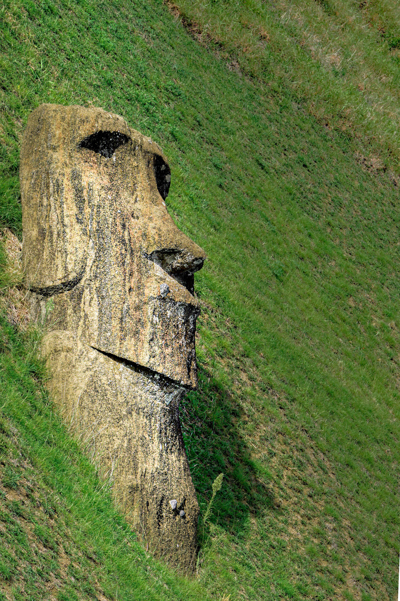 Chile, 30-March-2018, © Alvaro Pena Conde (Oravla)