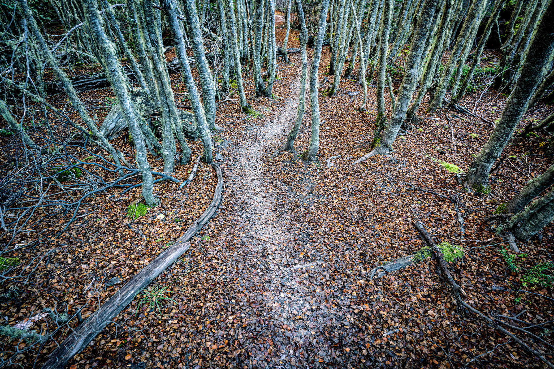 Photo taken in Ushuaia, on 13-May-2018, © Alvaro Pena Conde / oravla.com