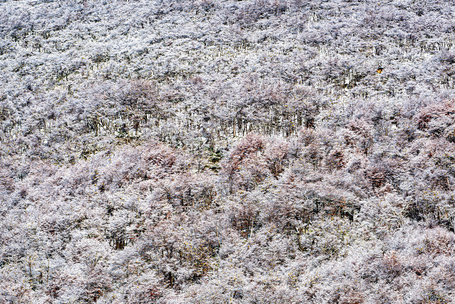 Photo taken in Ushuaia, on 12-May-2018, © Alvaro Pena Conde / oravla.com