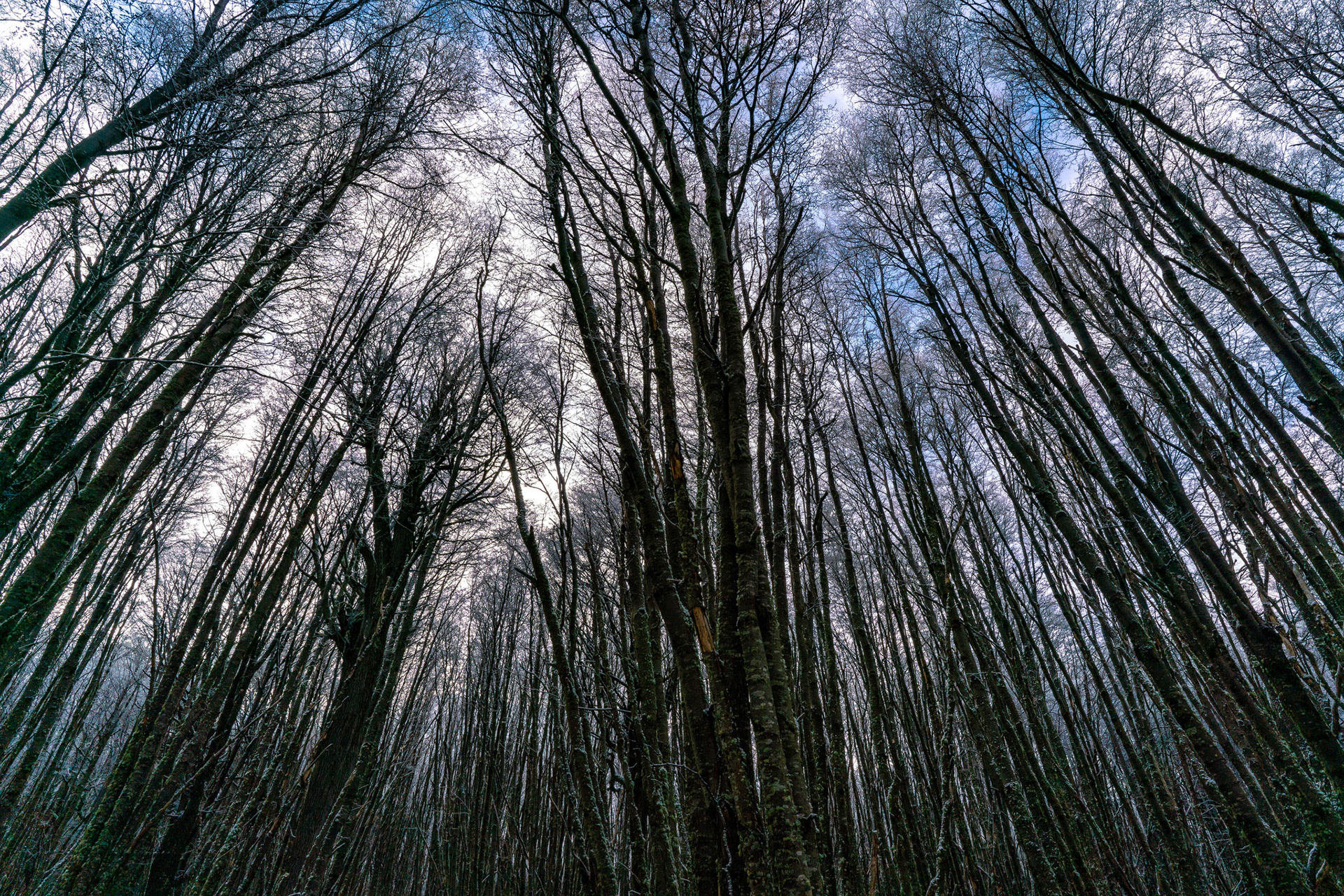Photo taken in Ushuaia, on 12-May-2018, © Alvaro Pena Conde / oravla.com