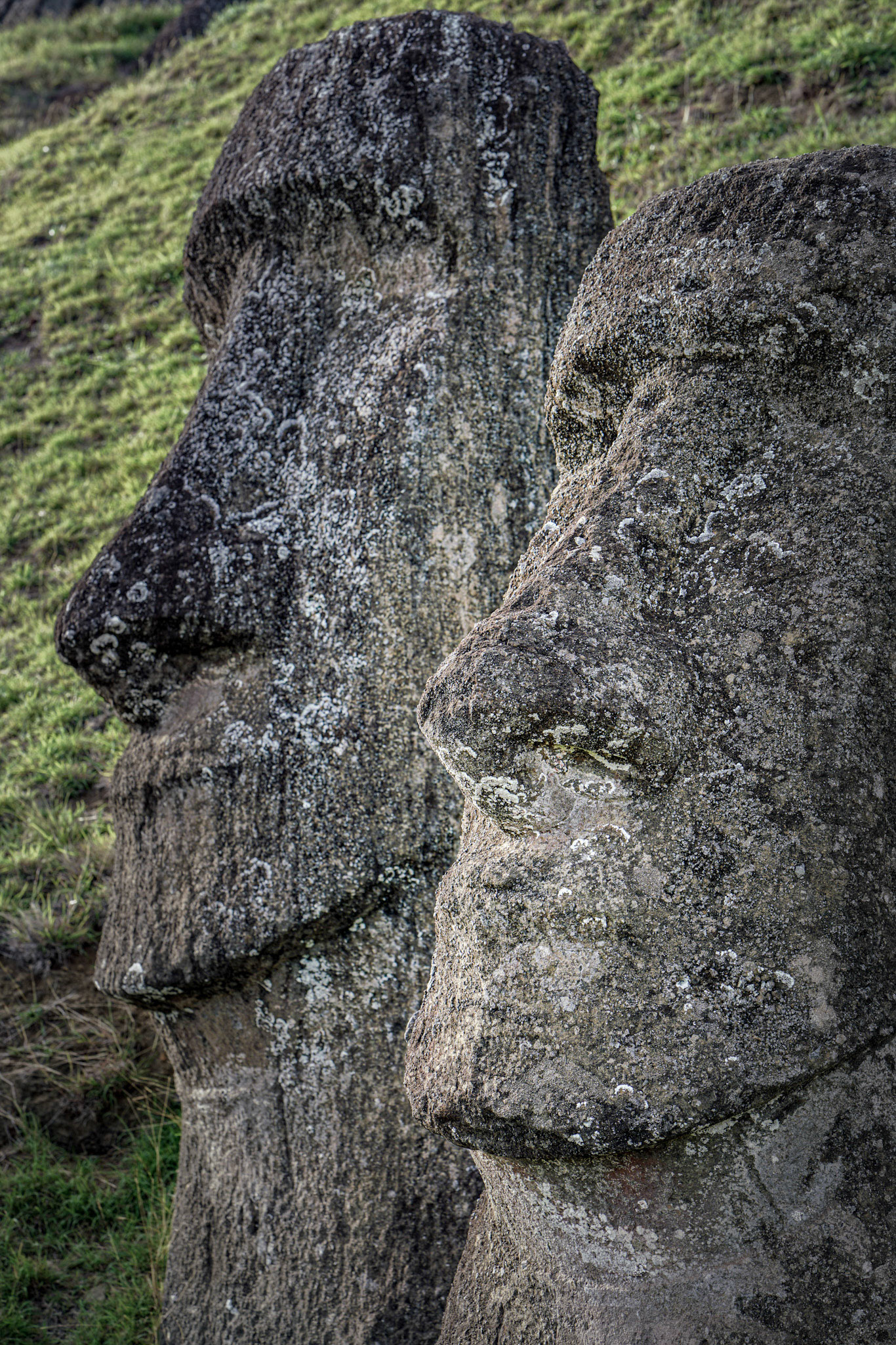 Chile, 30-March-2018, © Alvaro Pena Conde (Oravla)