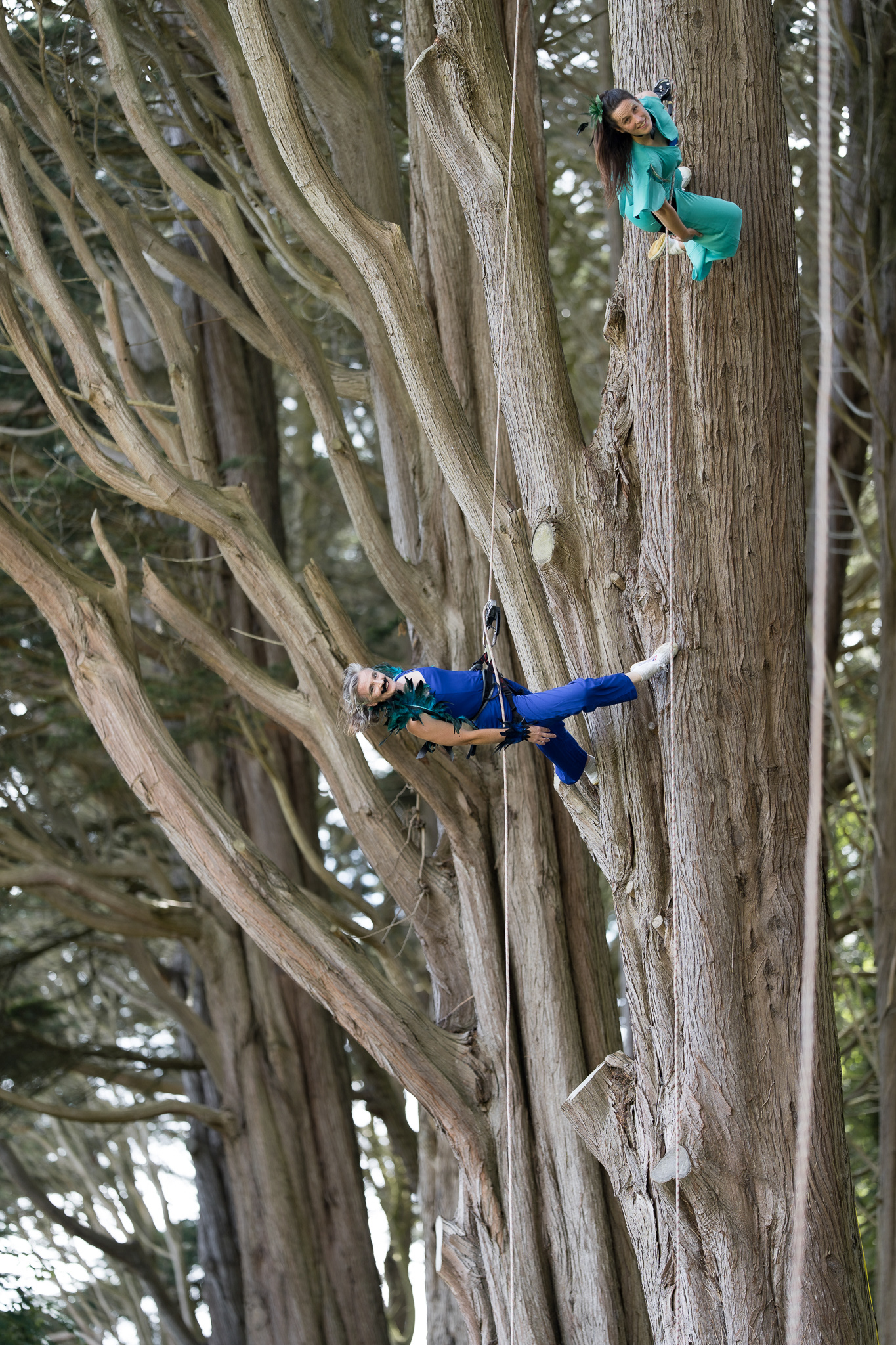 vertical dance performance at Plas Newydd