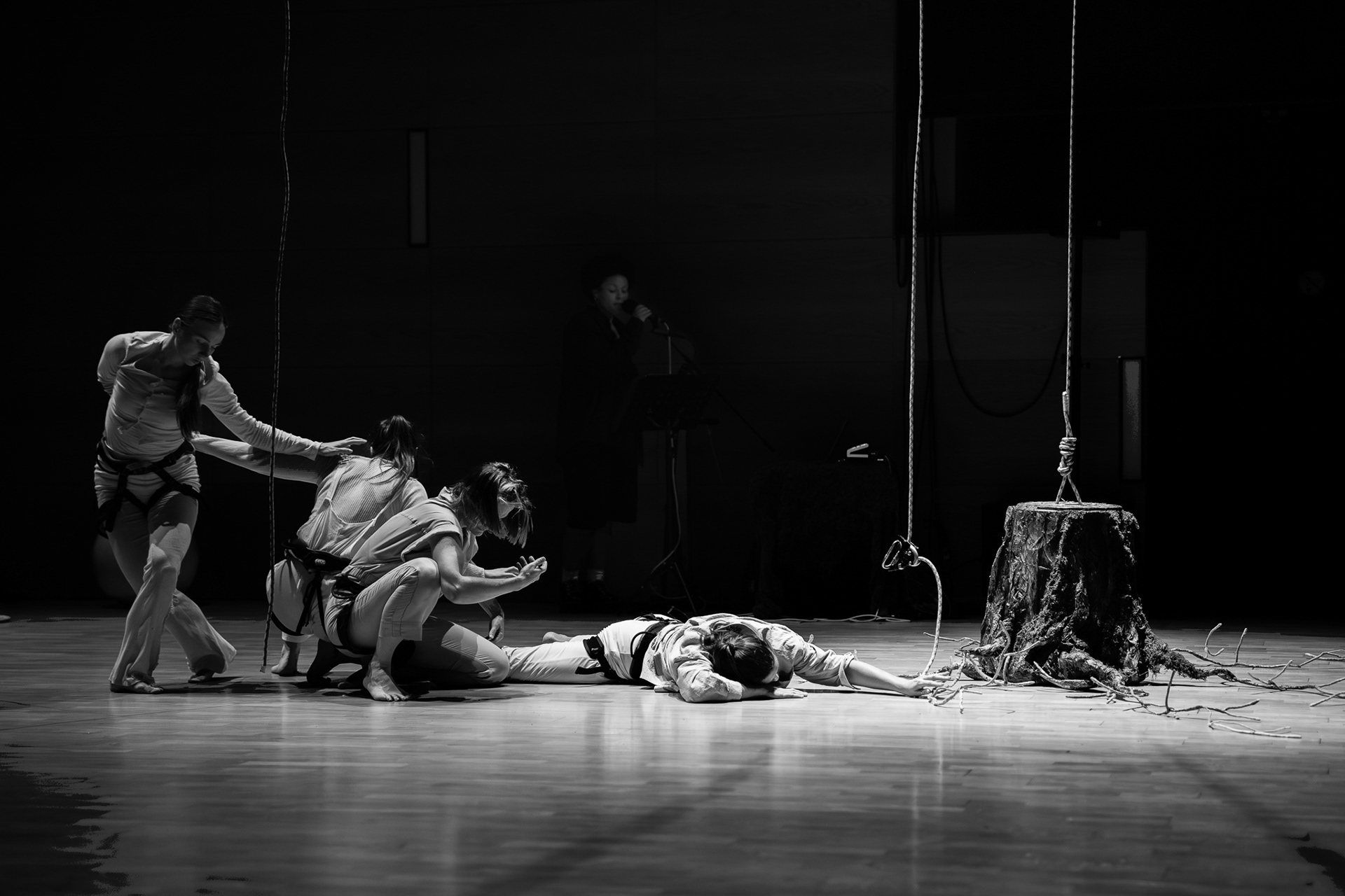 Hedydd Vertical Dance Lost Roots