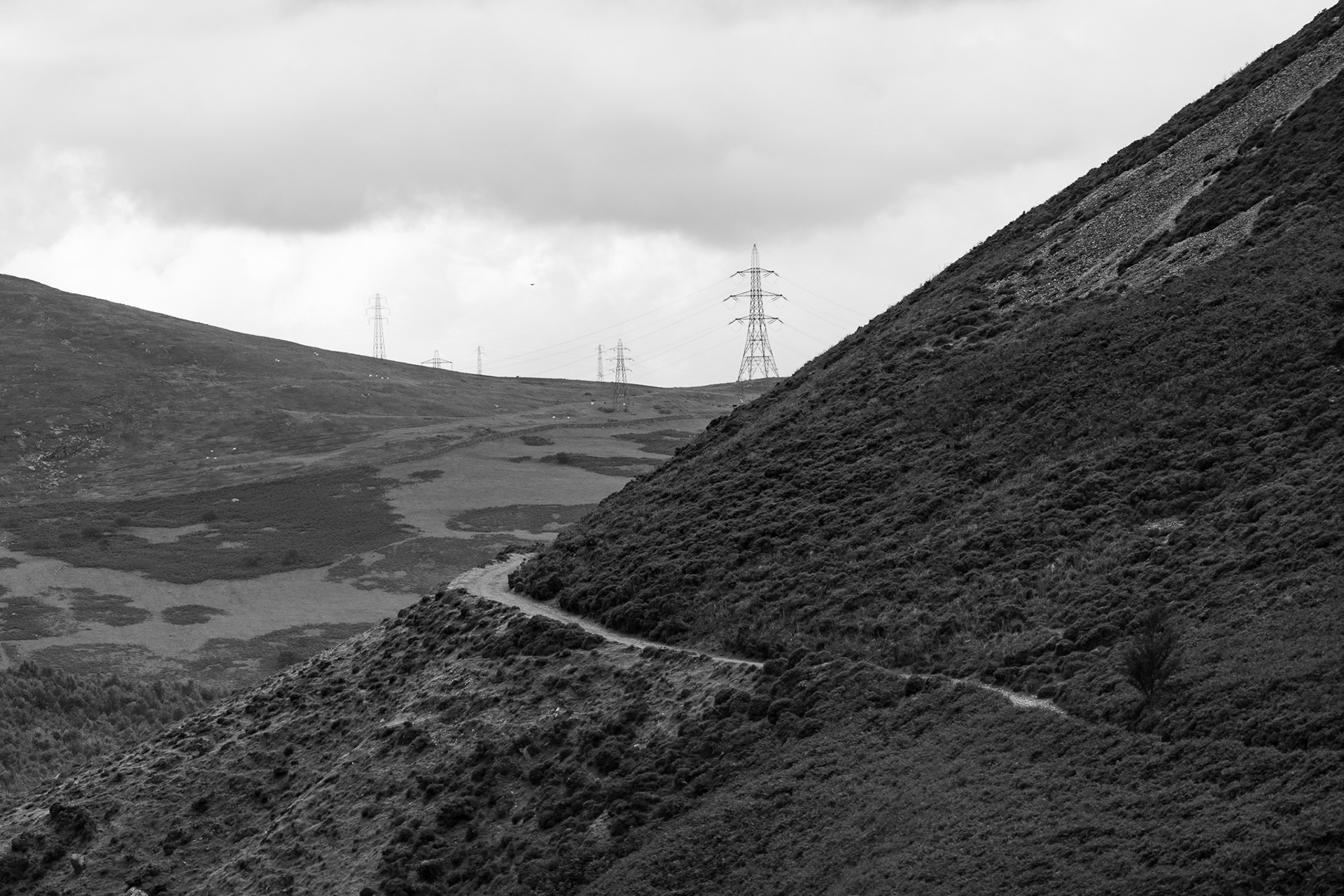 Path to Llyn Anafon