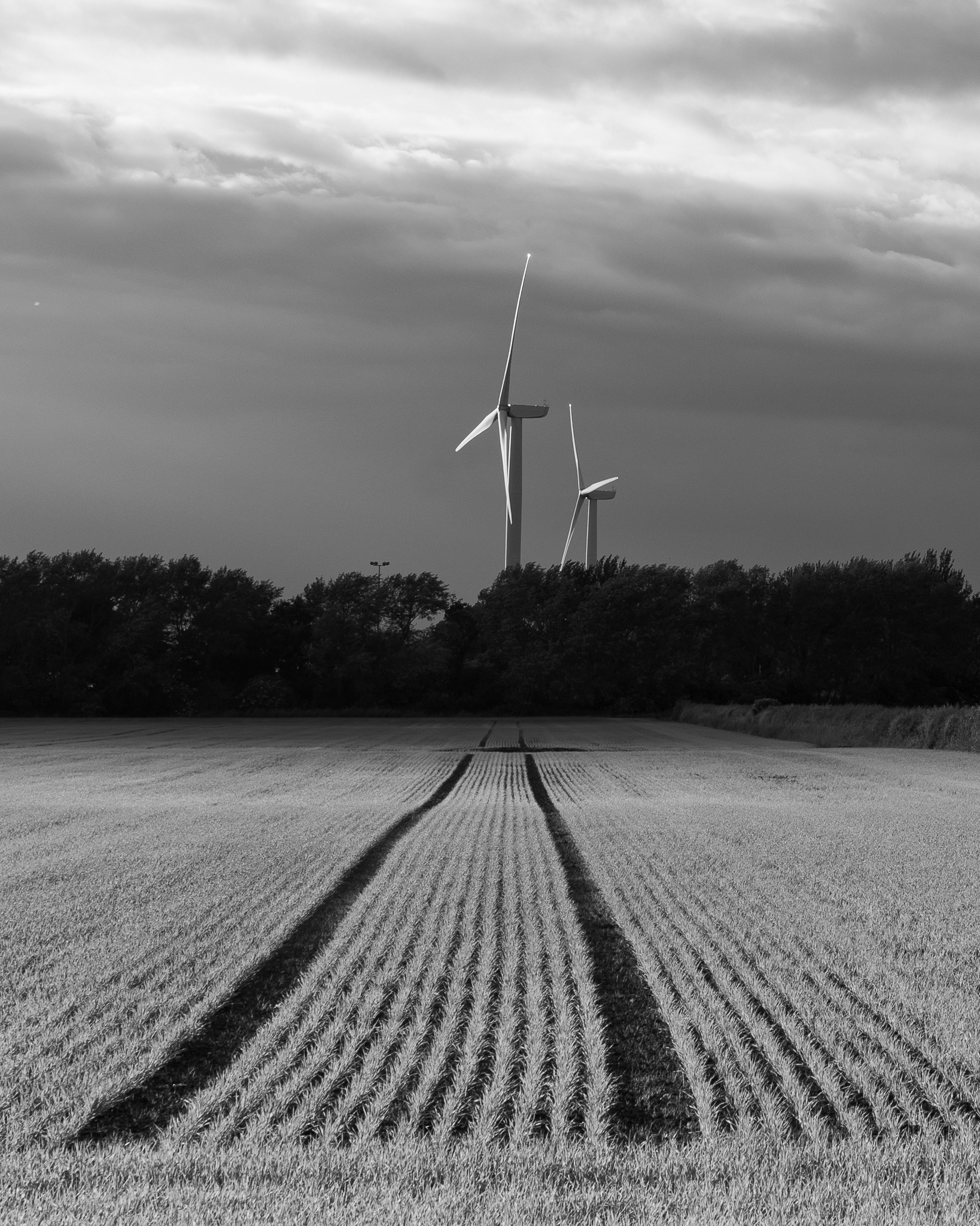 Farming x 2, Frodsham