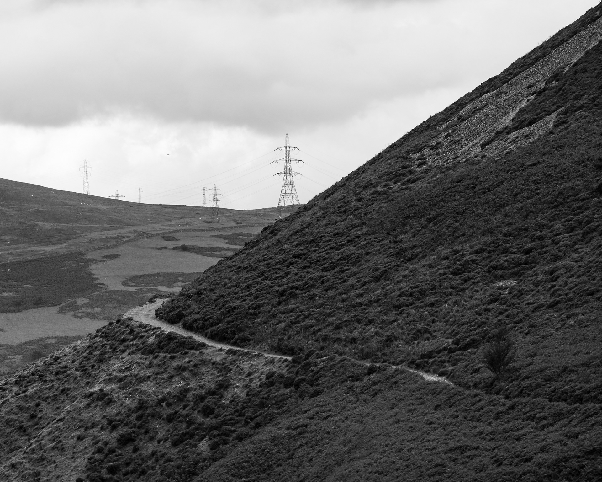Path to LLyn Anafon