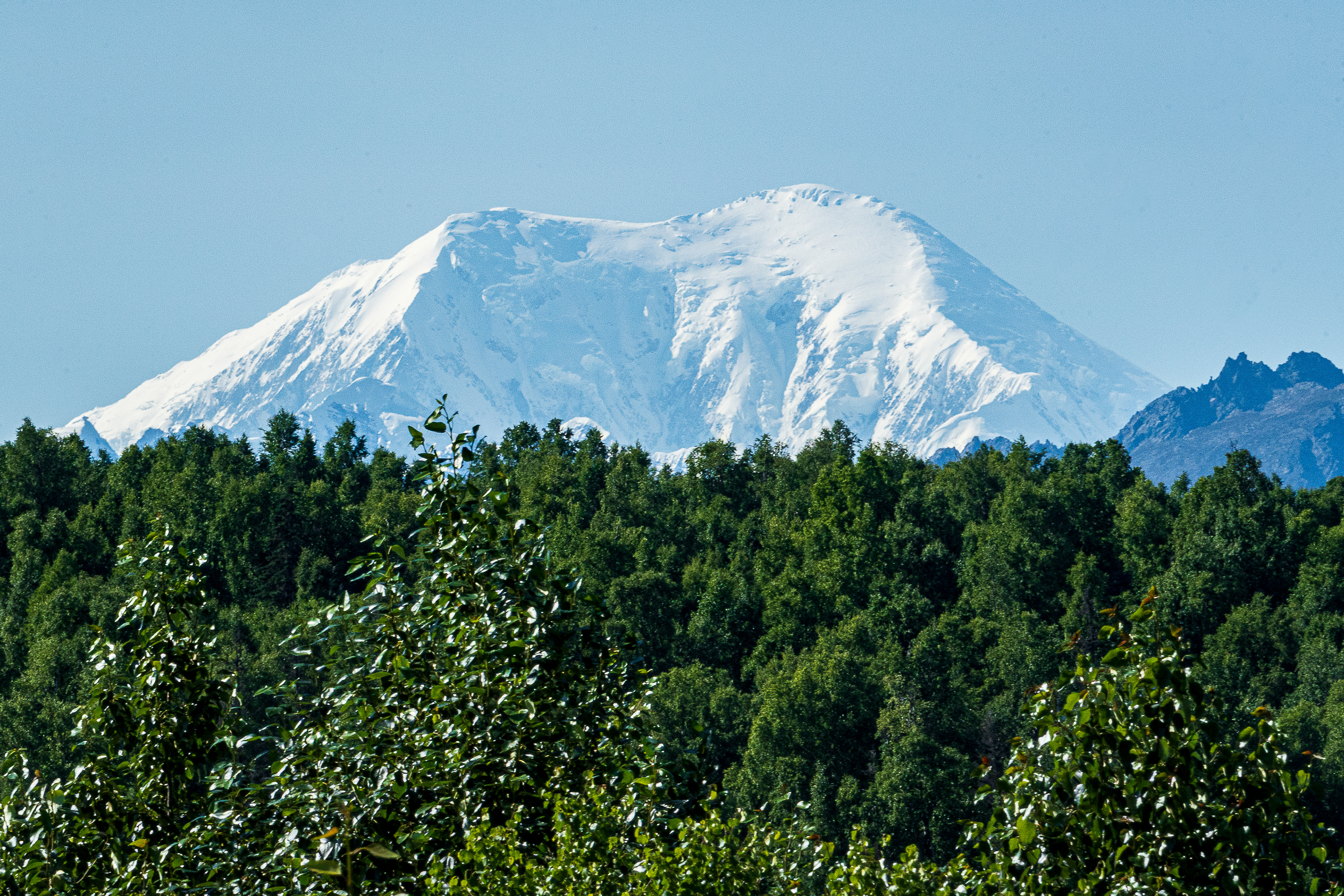 Mount Foraker  - Mt Mckinley Princess Wilderness Lodge