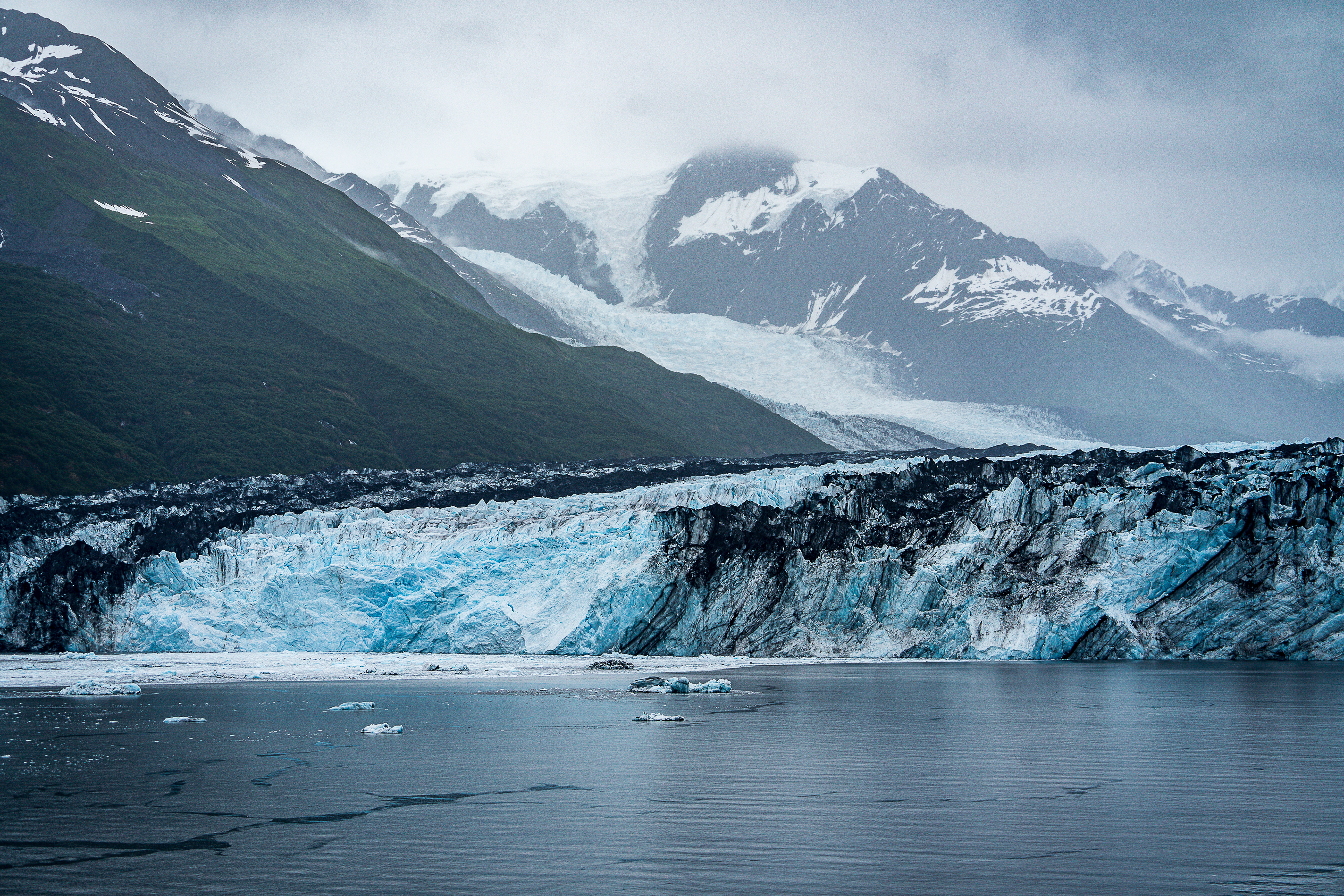 Harvard Glacier - College Fjord