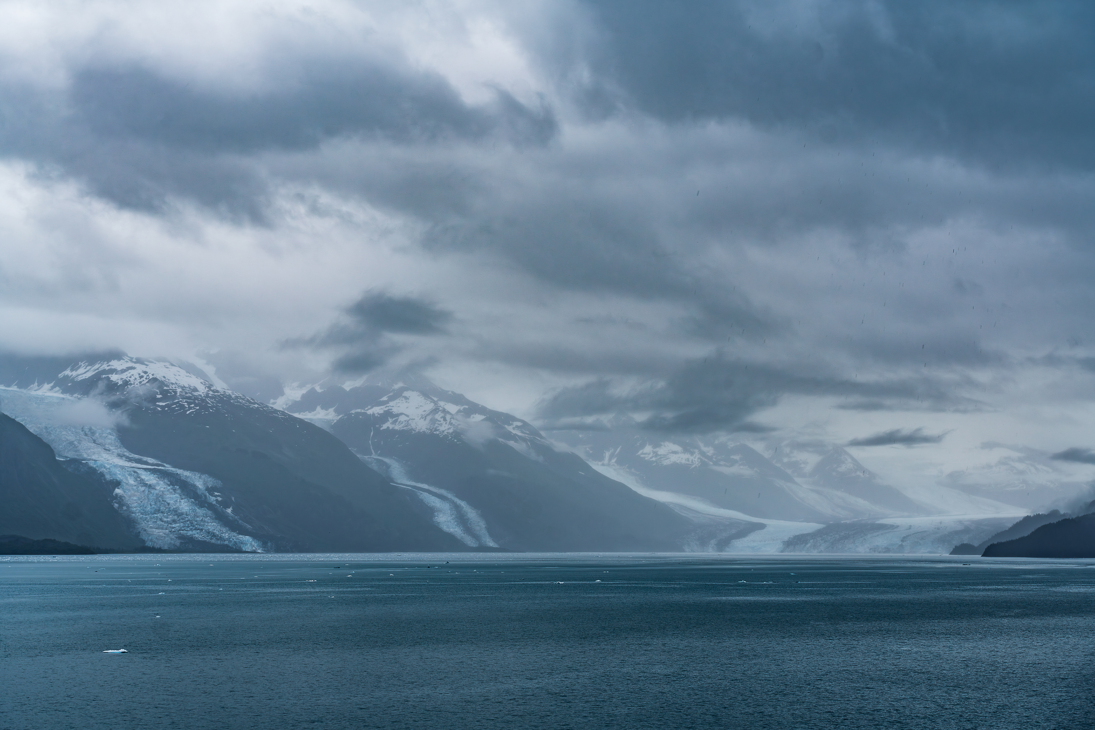 Glaciers of College Fjord