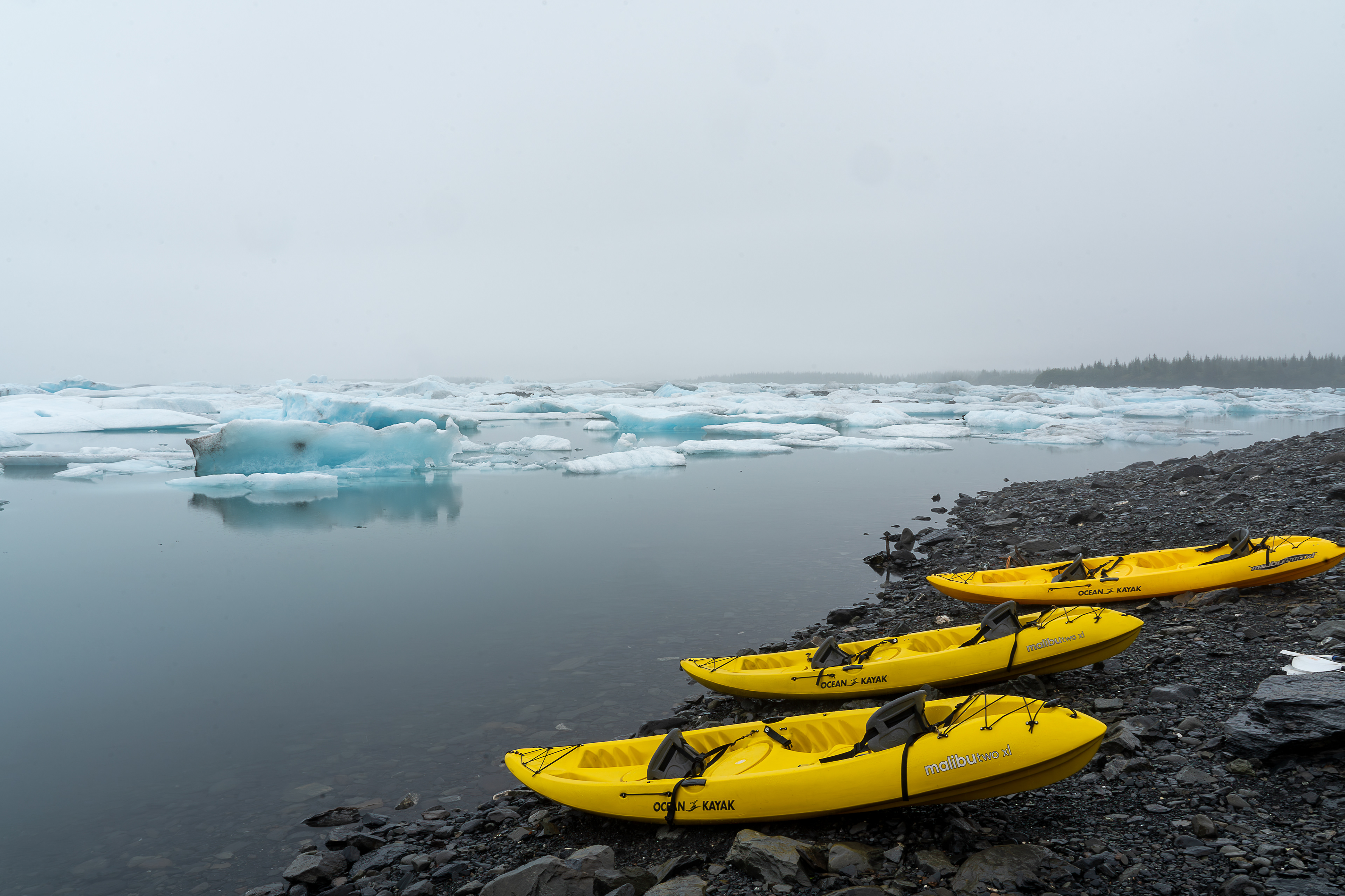 Kayaks Bear Glacier Lagoon - Kenai Fjord National Park