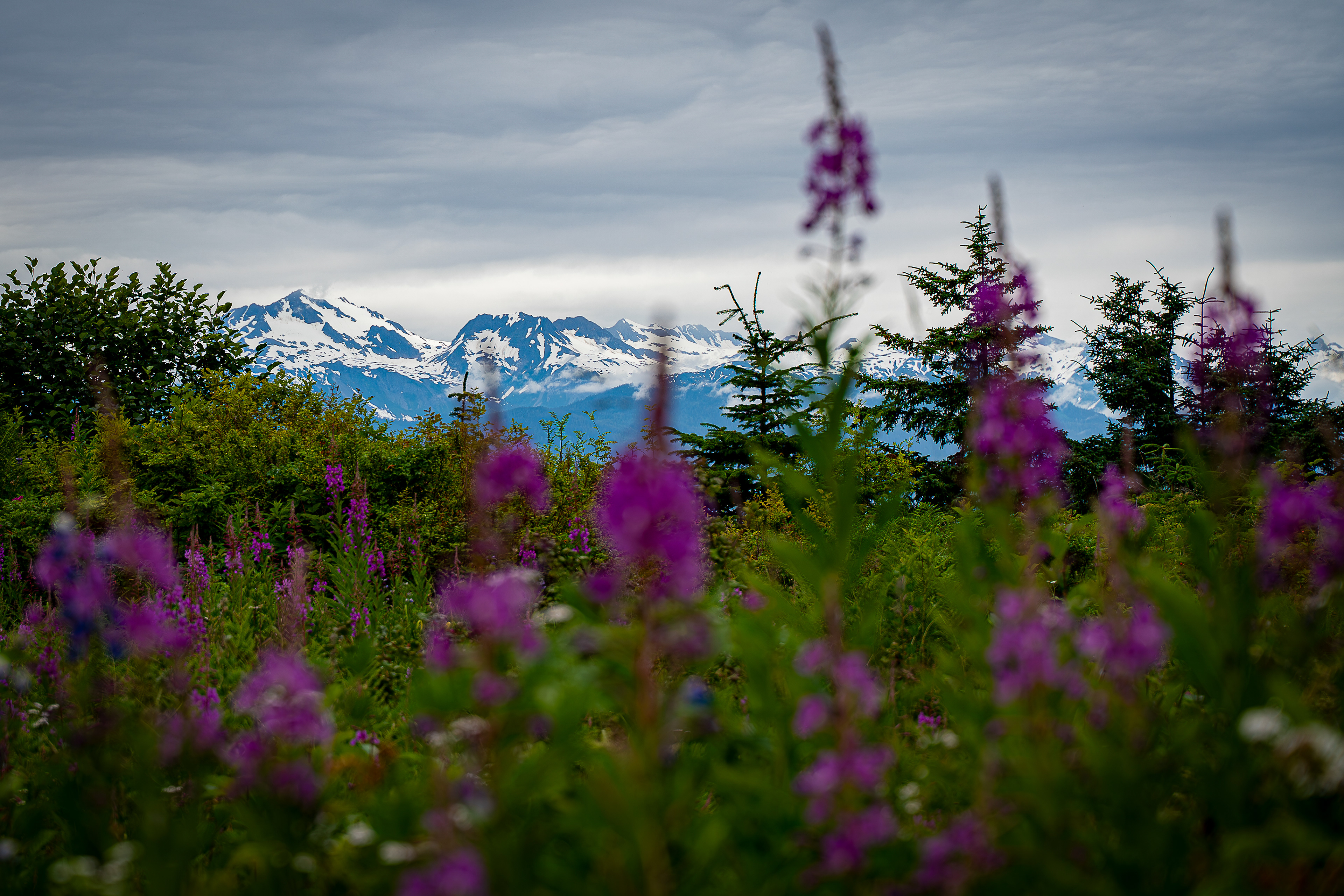 Alaska Range - Alaskan Wilderness