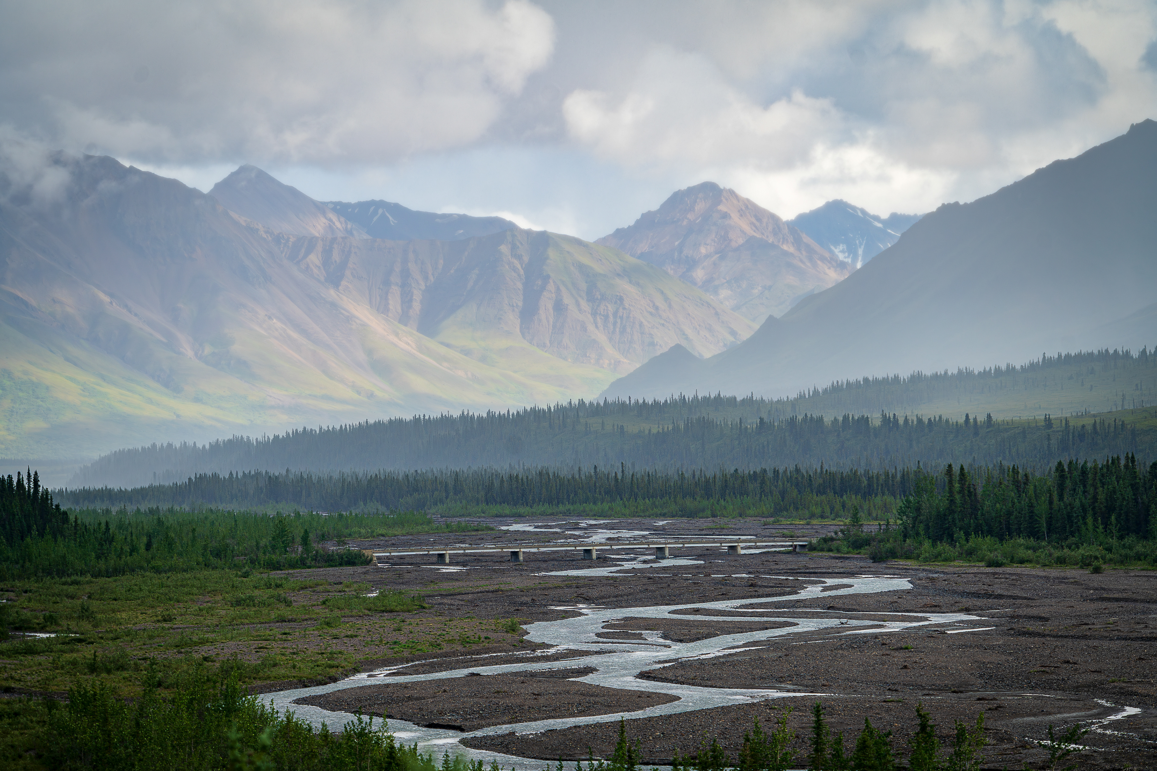 Teklanika River - Denali National Park