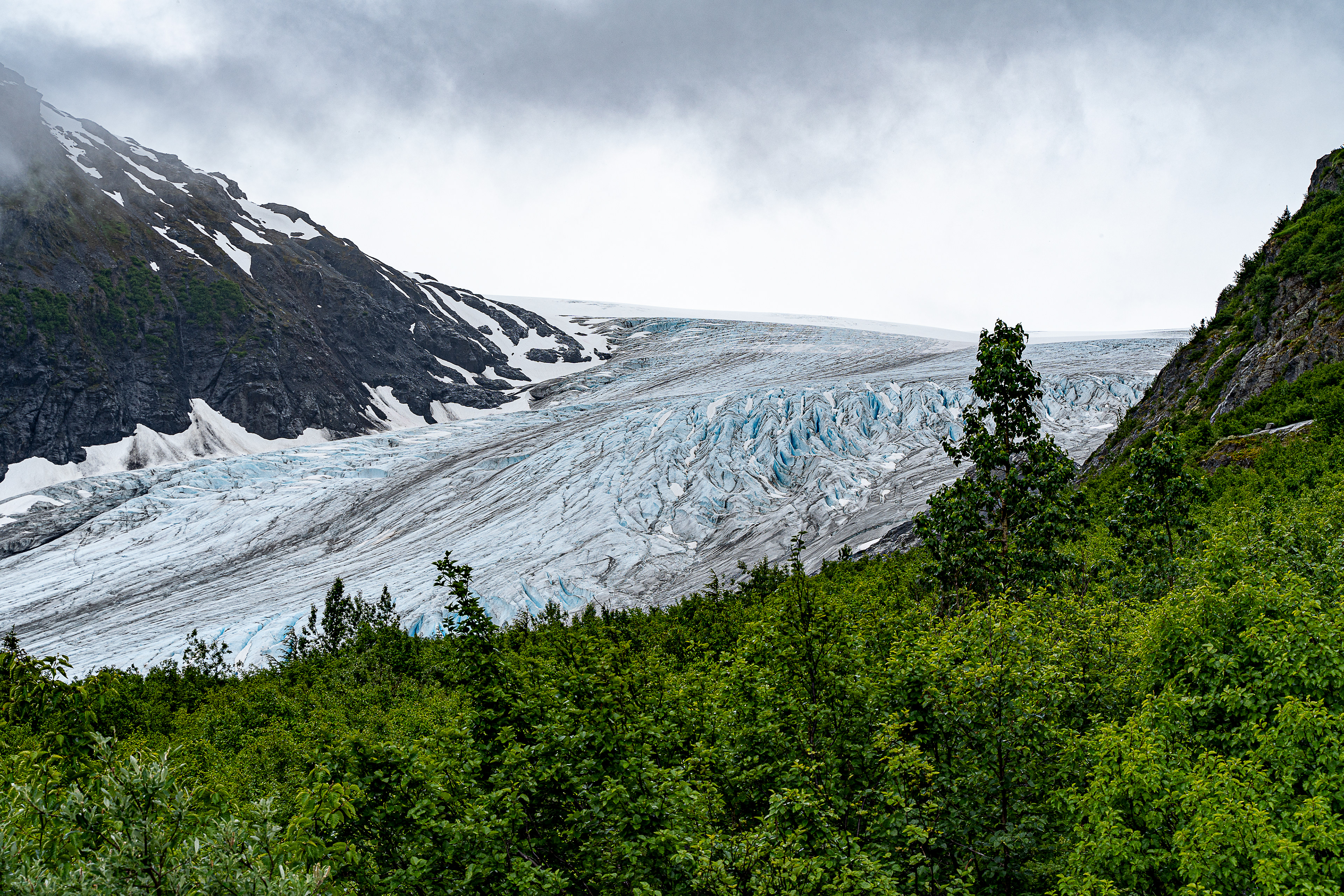 Exit Glacier from Marmot Meadows - Kenai Fjord National Park