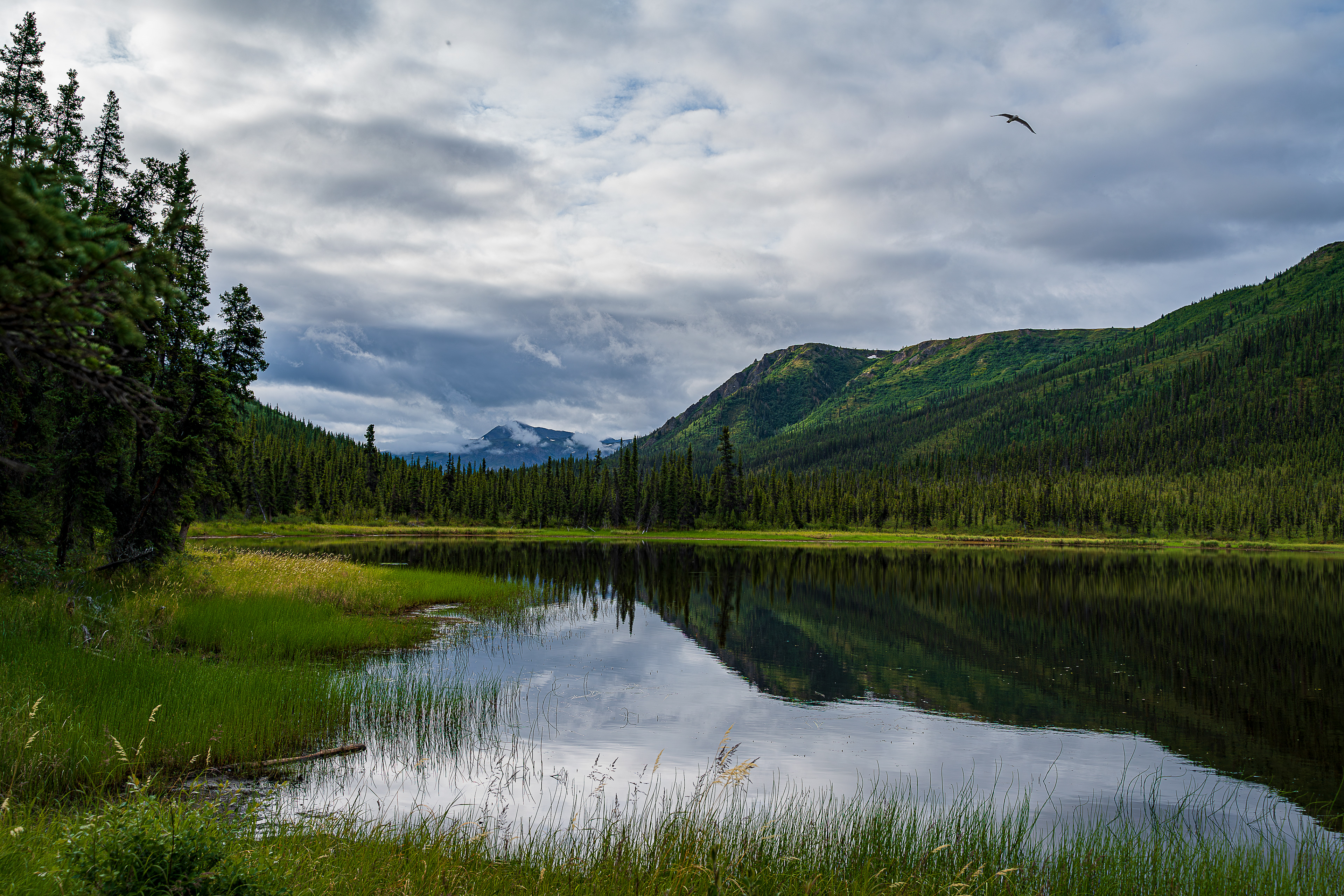 Triple Lakes Trail - Denali National Park