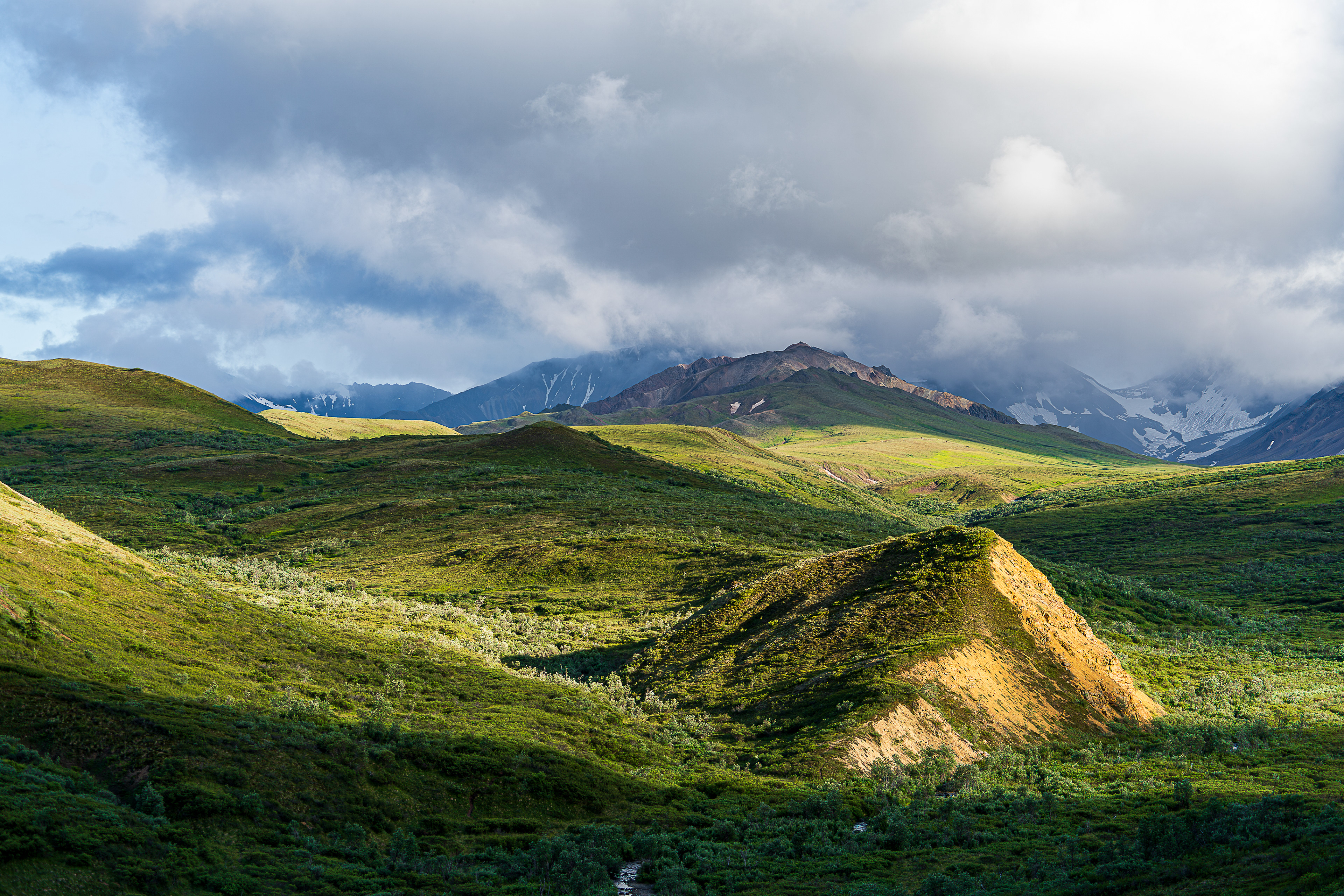 Park Road - Denali National Park