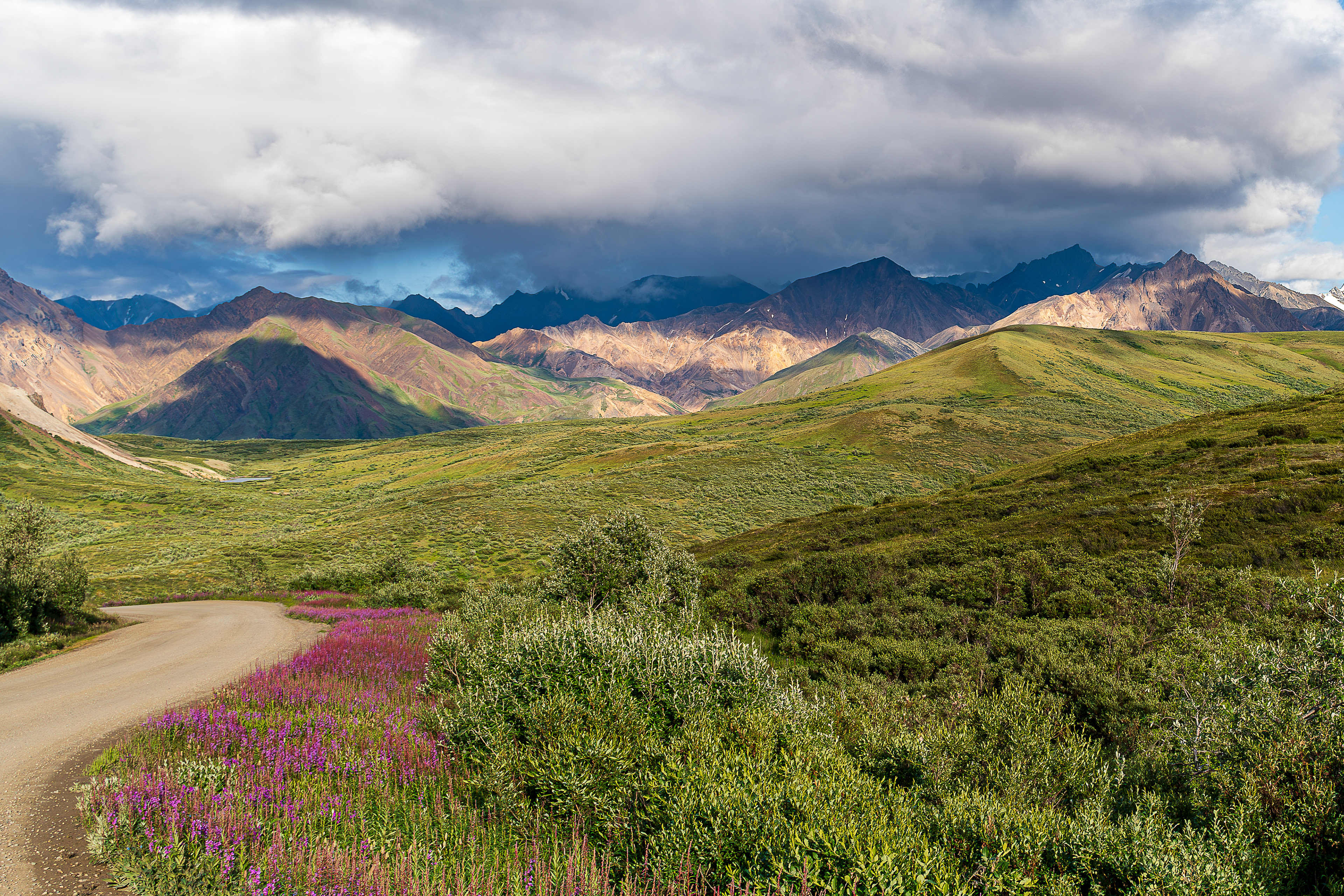 Park Road - Denali National Park