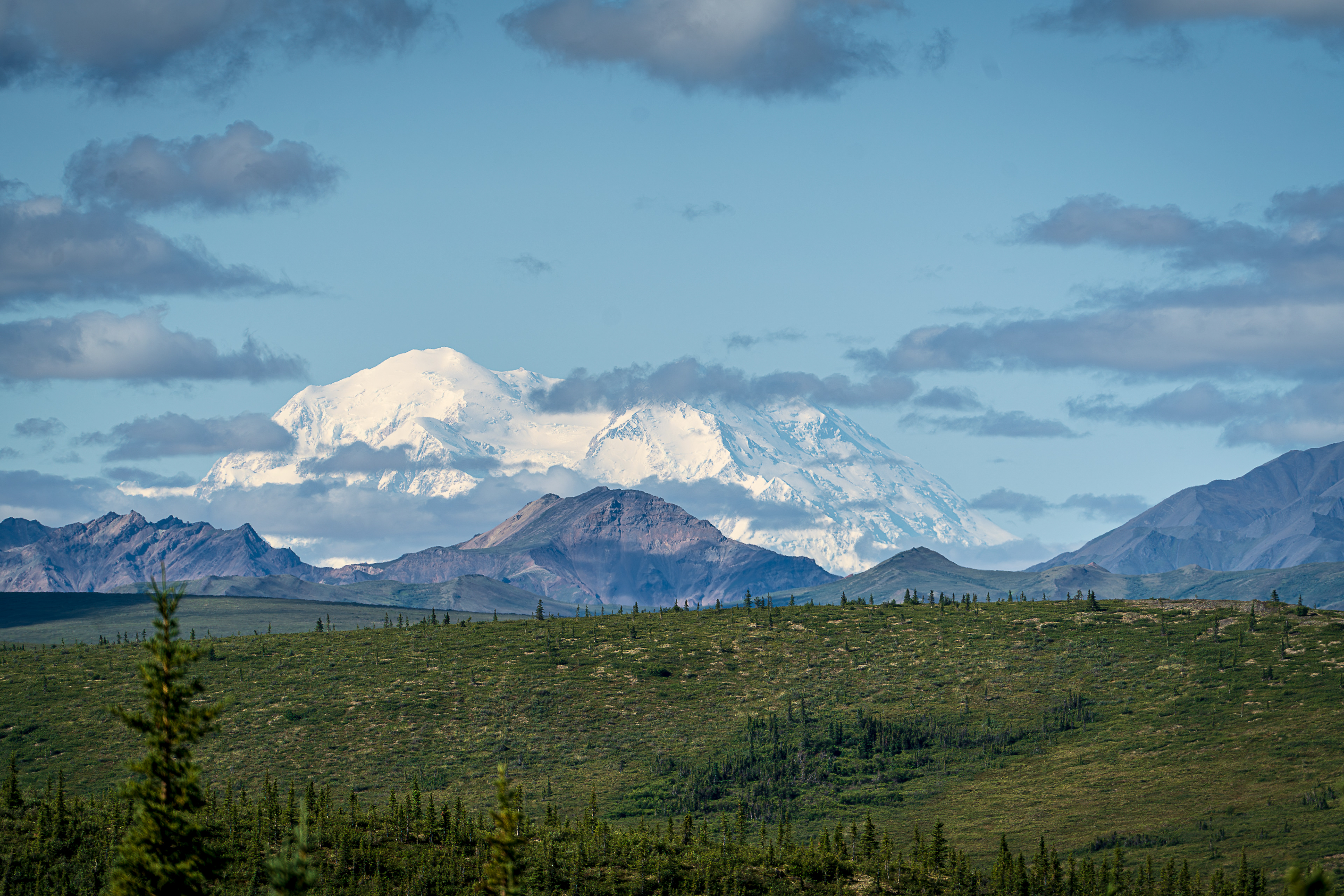Denali - Denali National Park