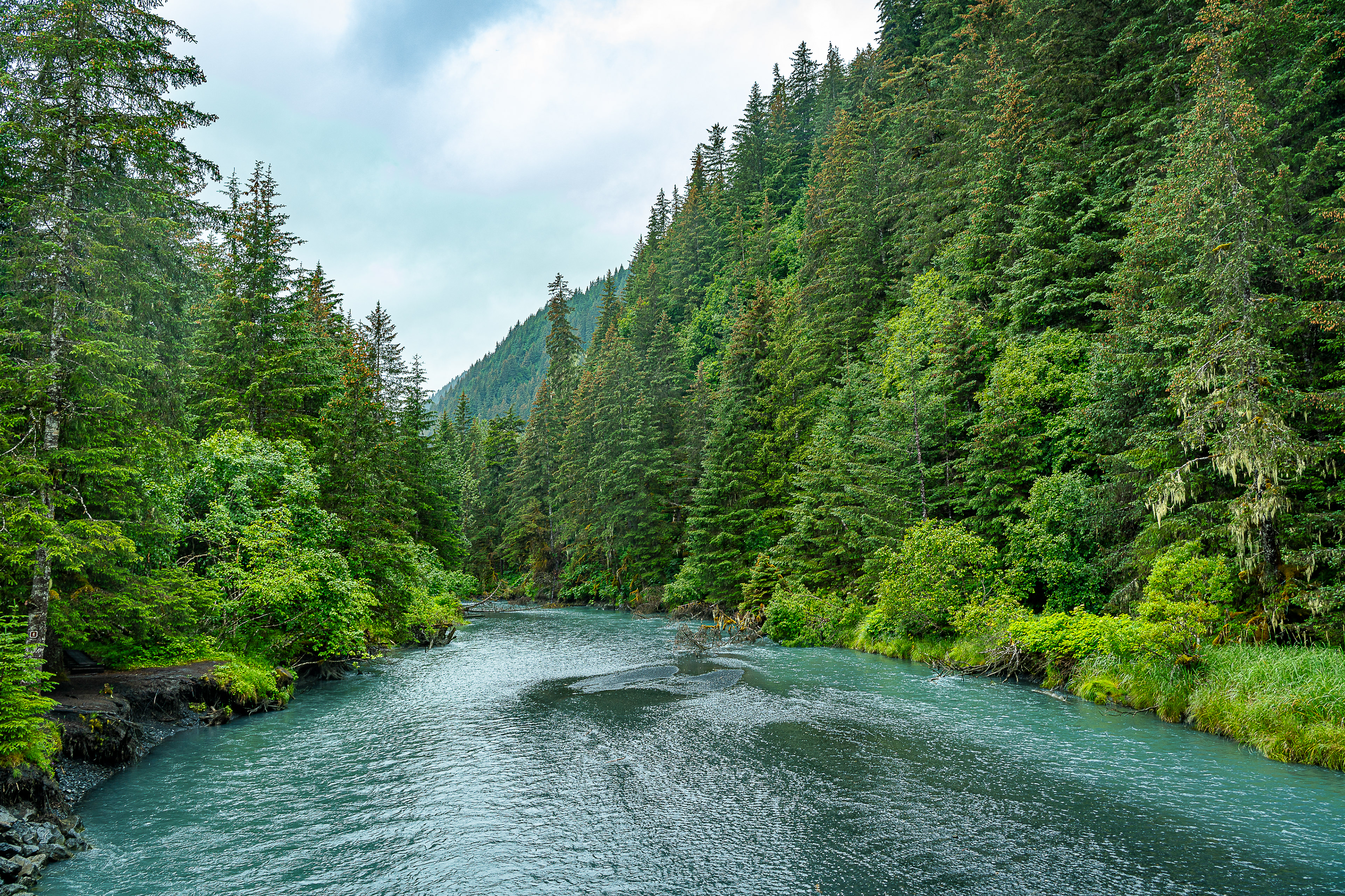 Tonsina Creek - Caines Head State Recreation Area