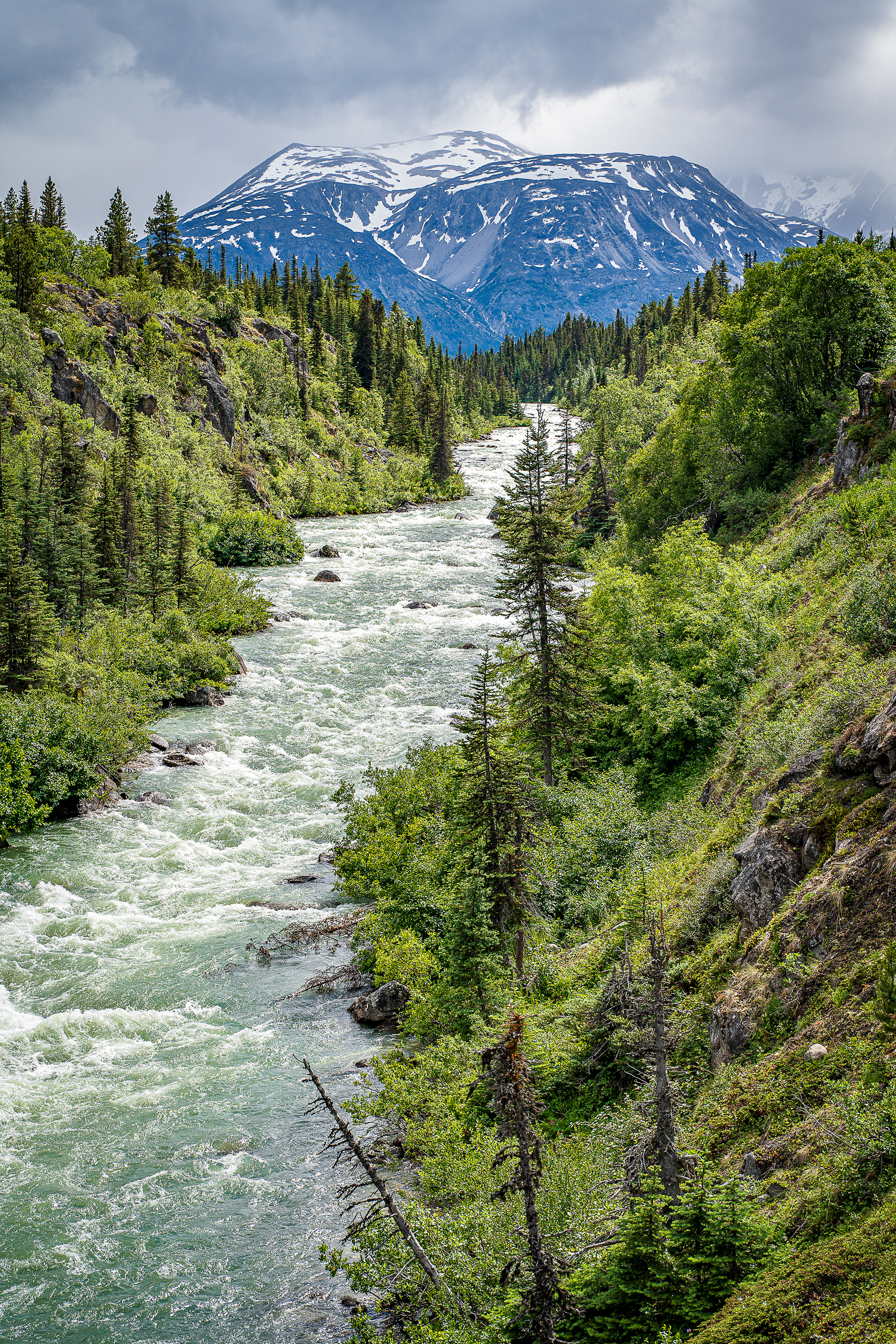 Tutshi River - British Columbia, CA