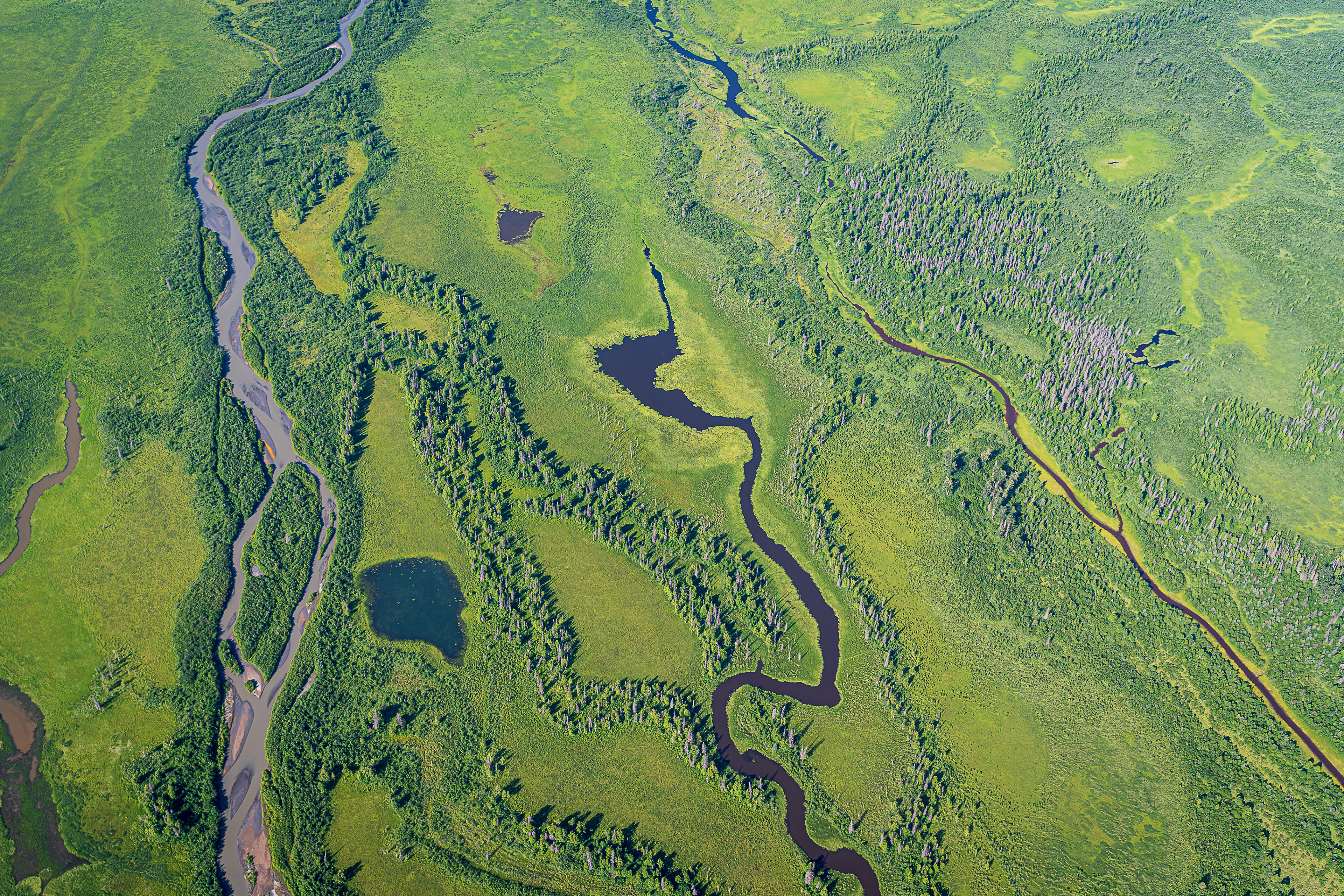 Alaskan Wilderness