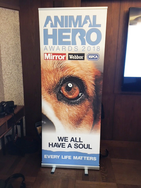 Pull-up banner • creative concept, design and artwork