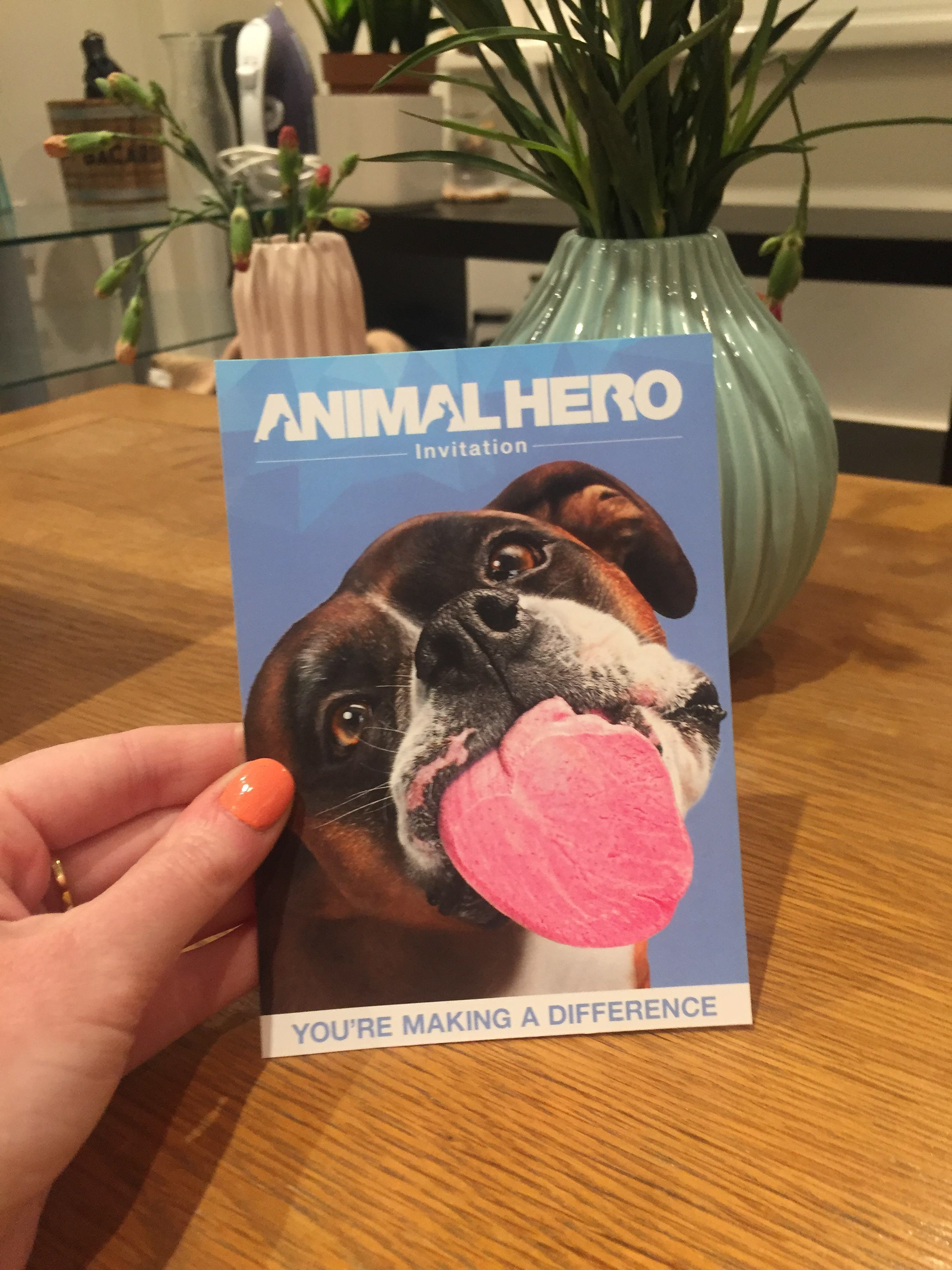 Invite • creative concept, design and artwork