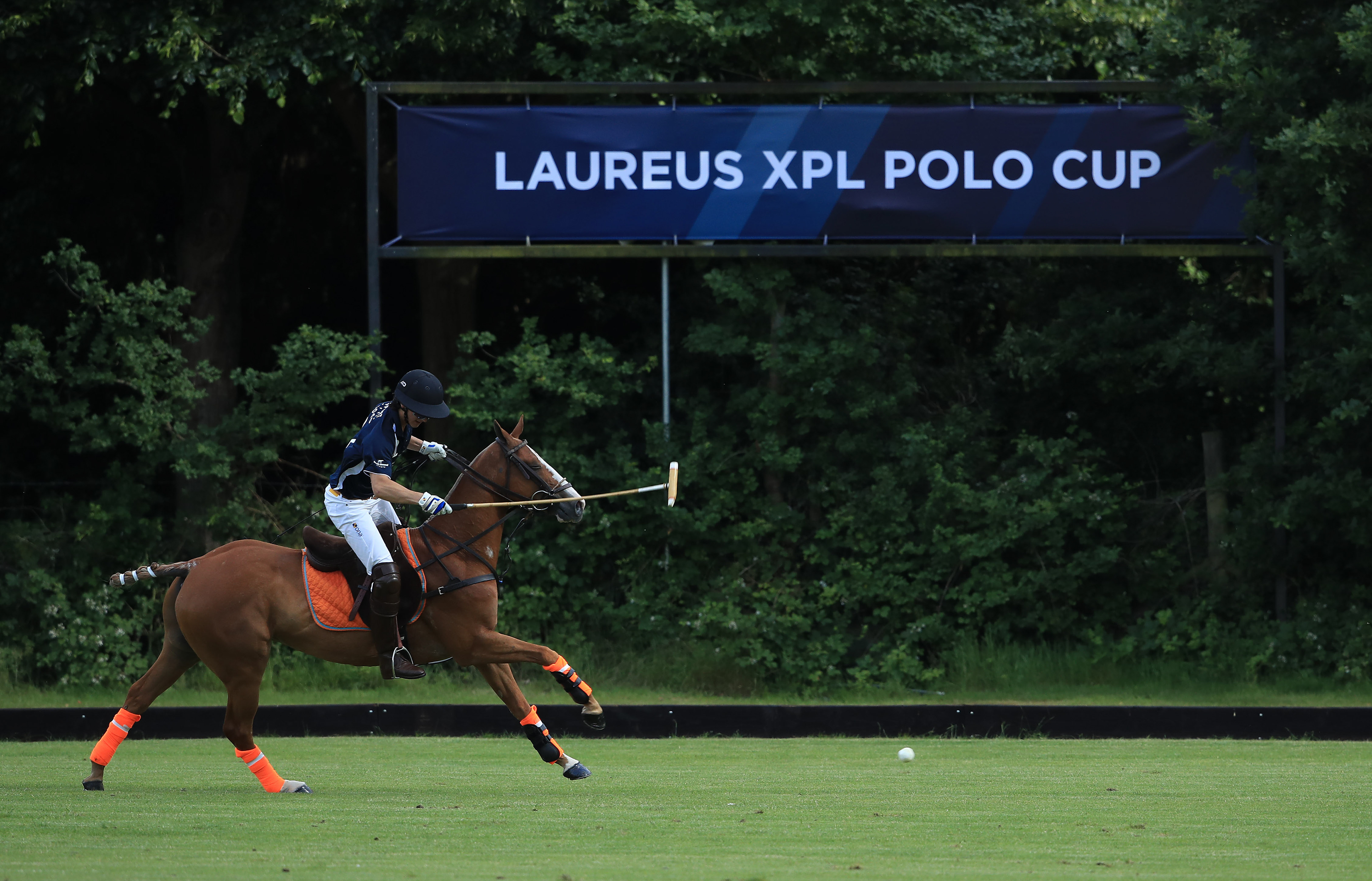 Signage •  layout and artwork