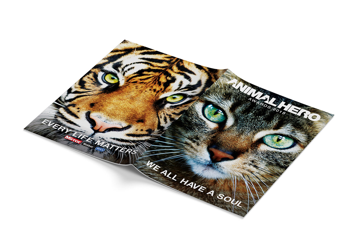 Brochure • creative concept, design and artwork