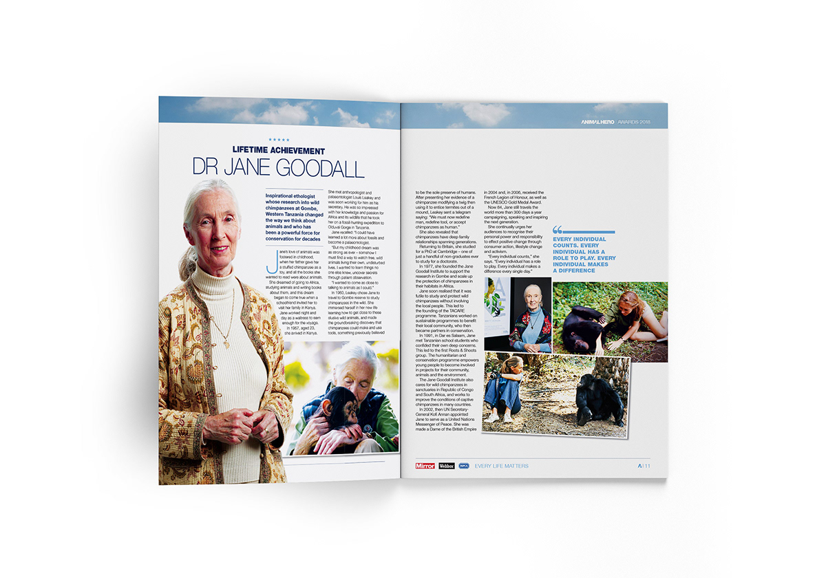 Brochure • creative concept, design and artwork