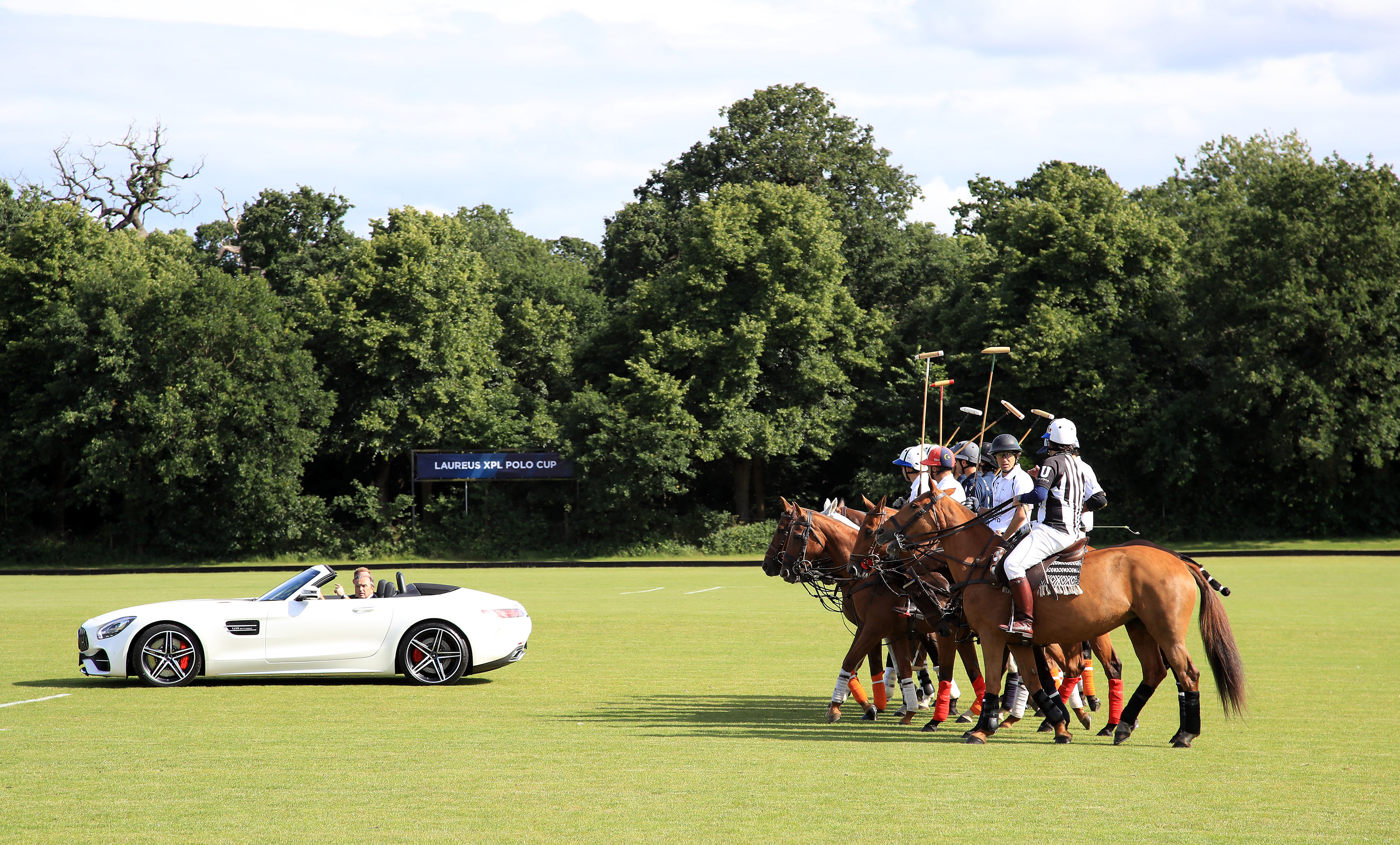 Signage •  layout and artwork