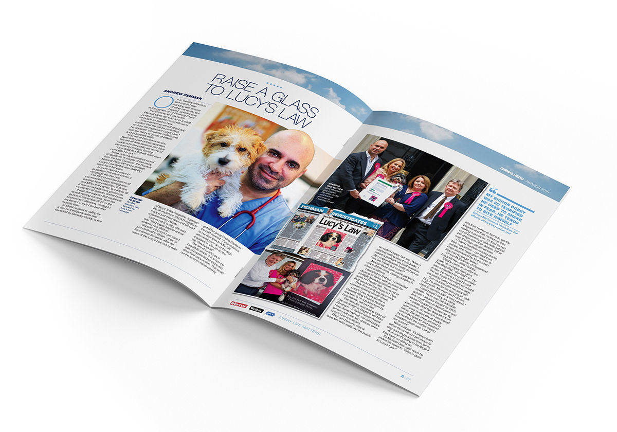 Brochure • creative concept, design and artwork