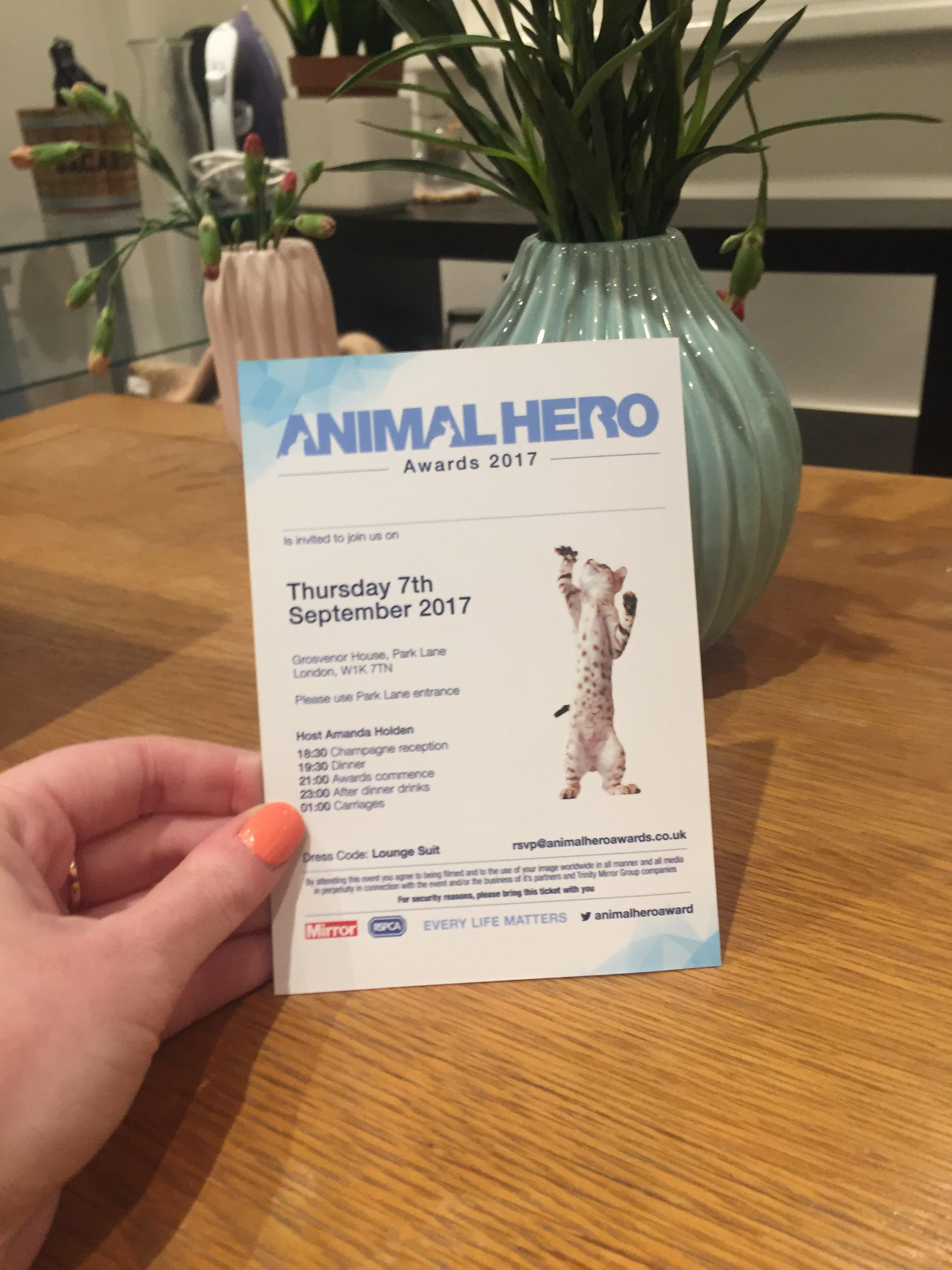 Invite • creative concept, design and artwork