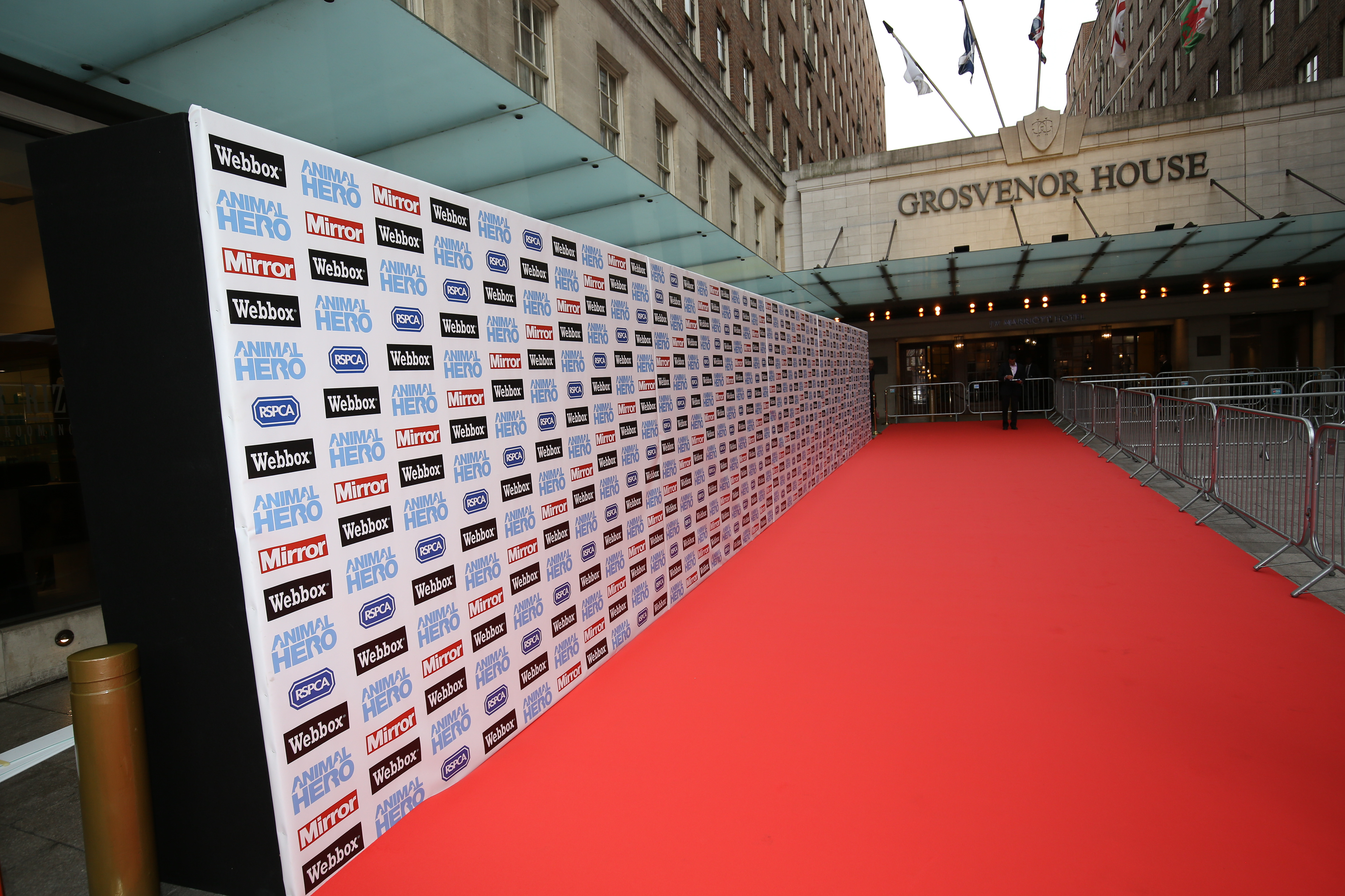 Branding boards • artwork