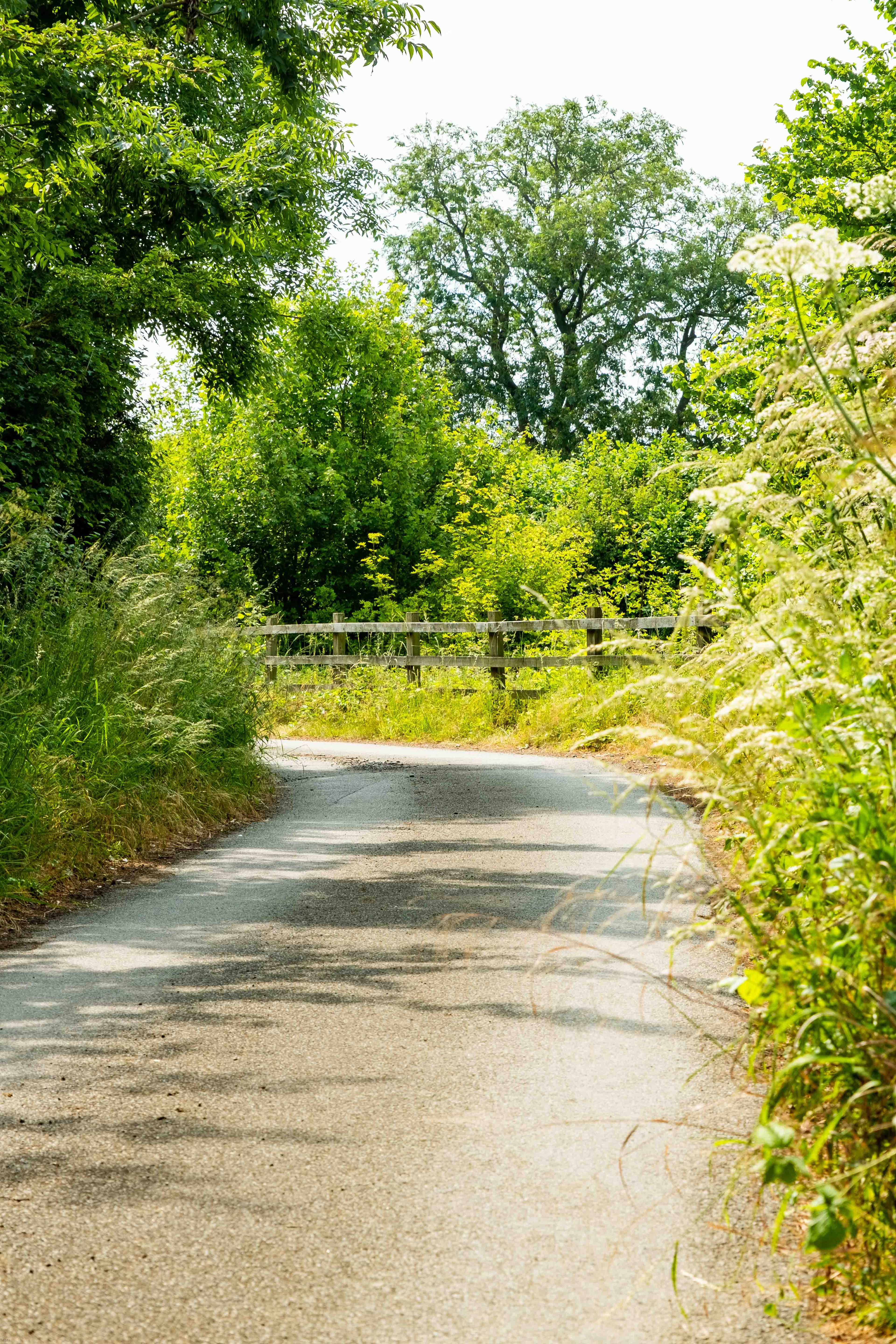 Down the Lane